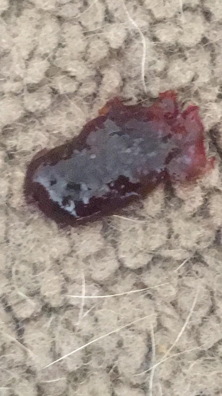 Question details sensitive content