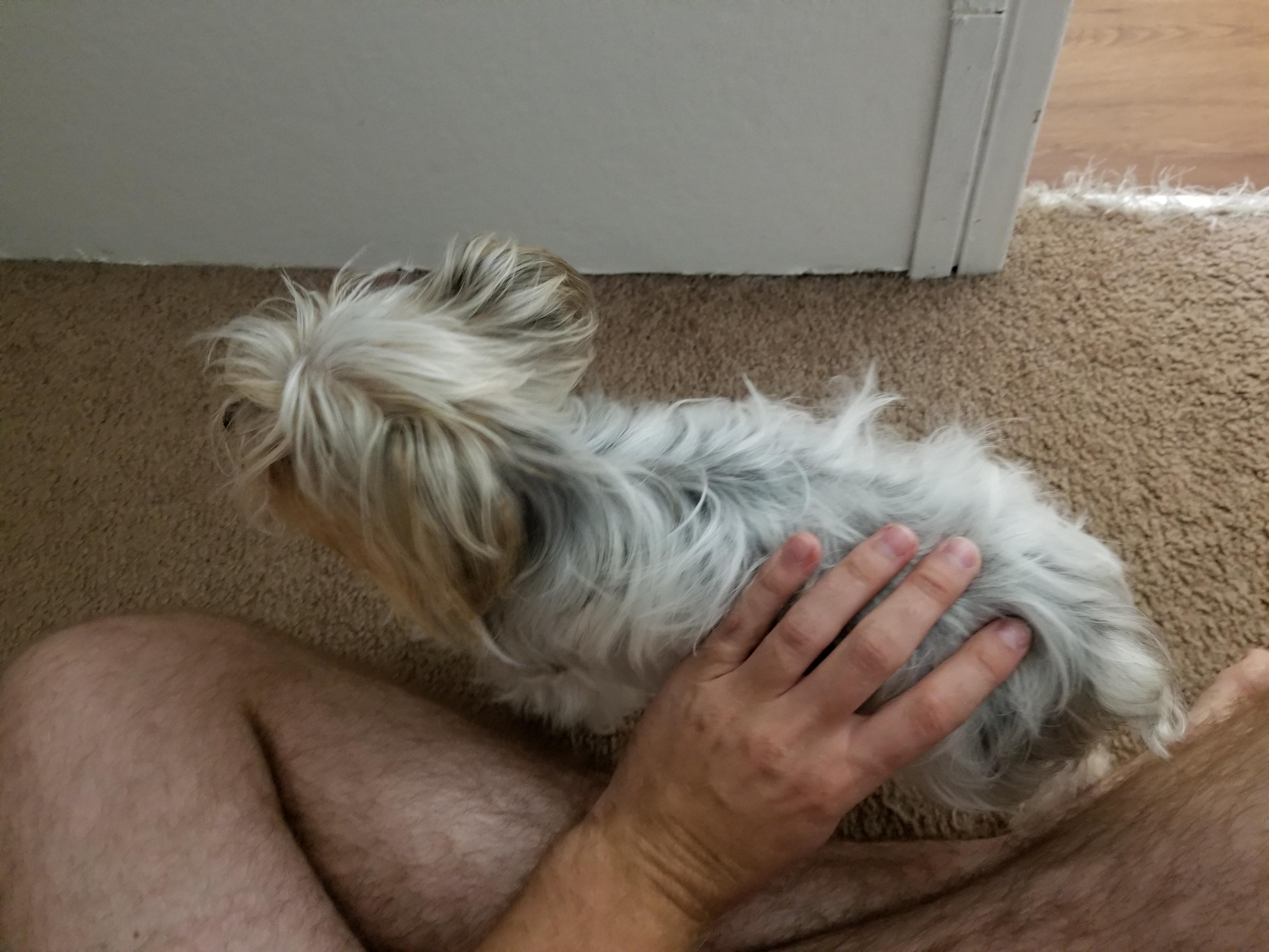 Question details sensitive content