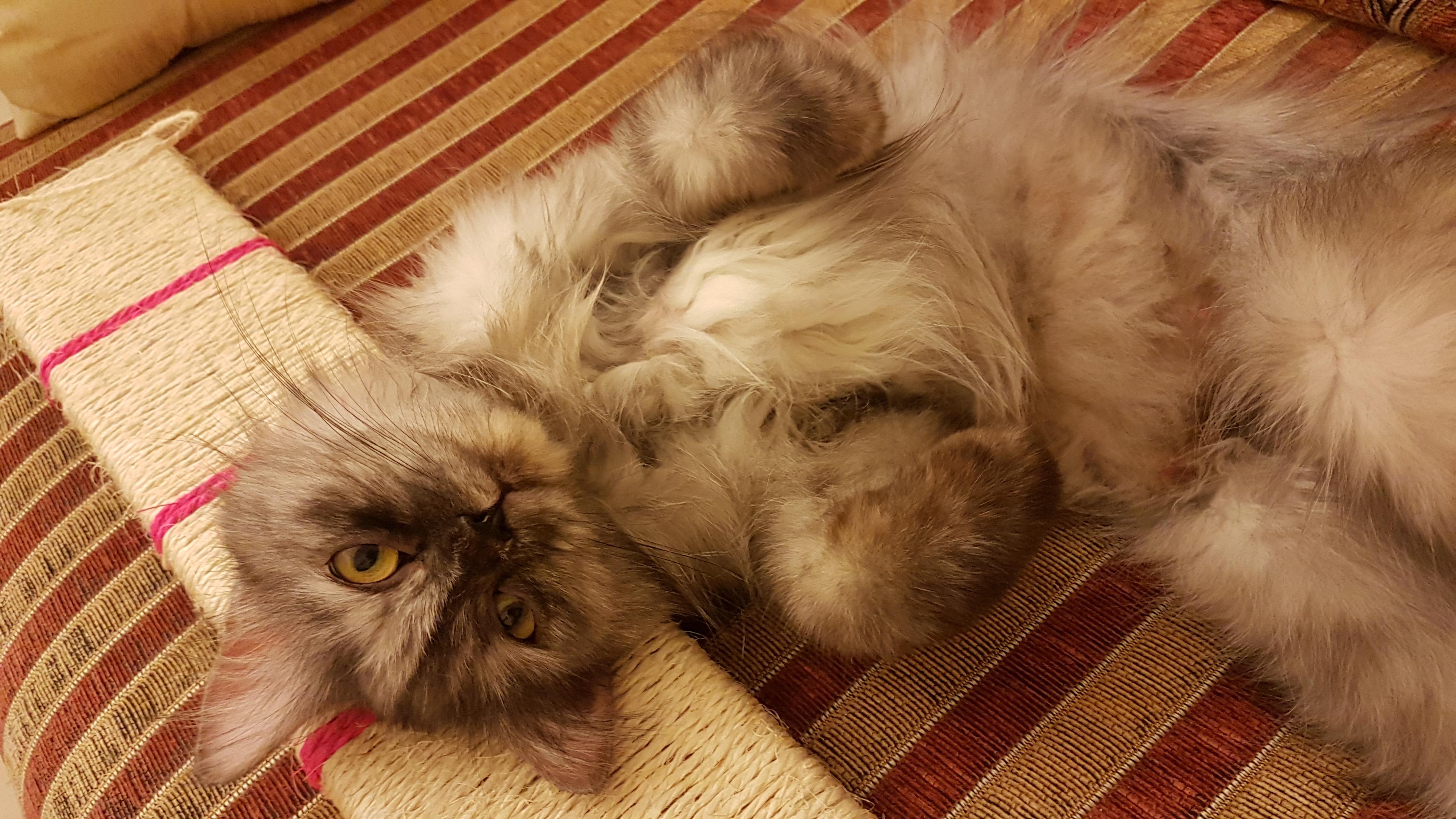 Question details sensitive content