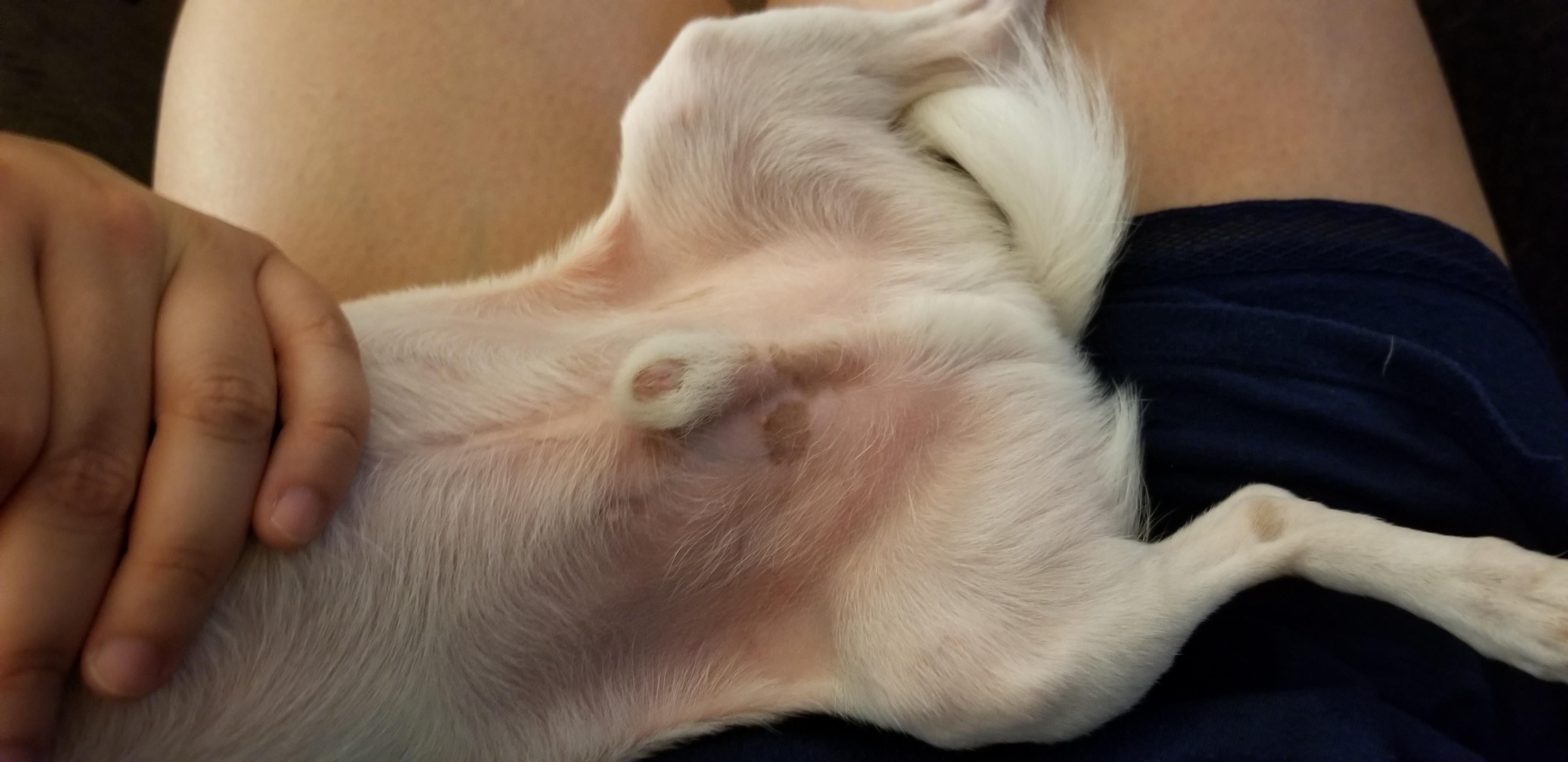 Question details sensitive content