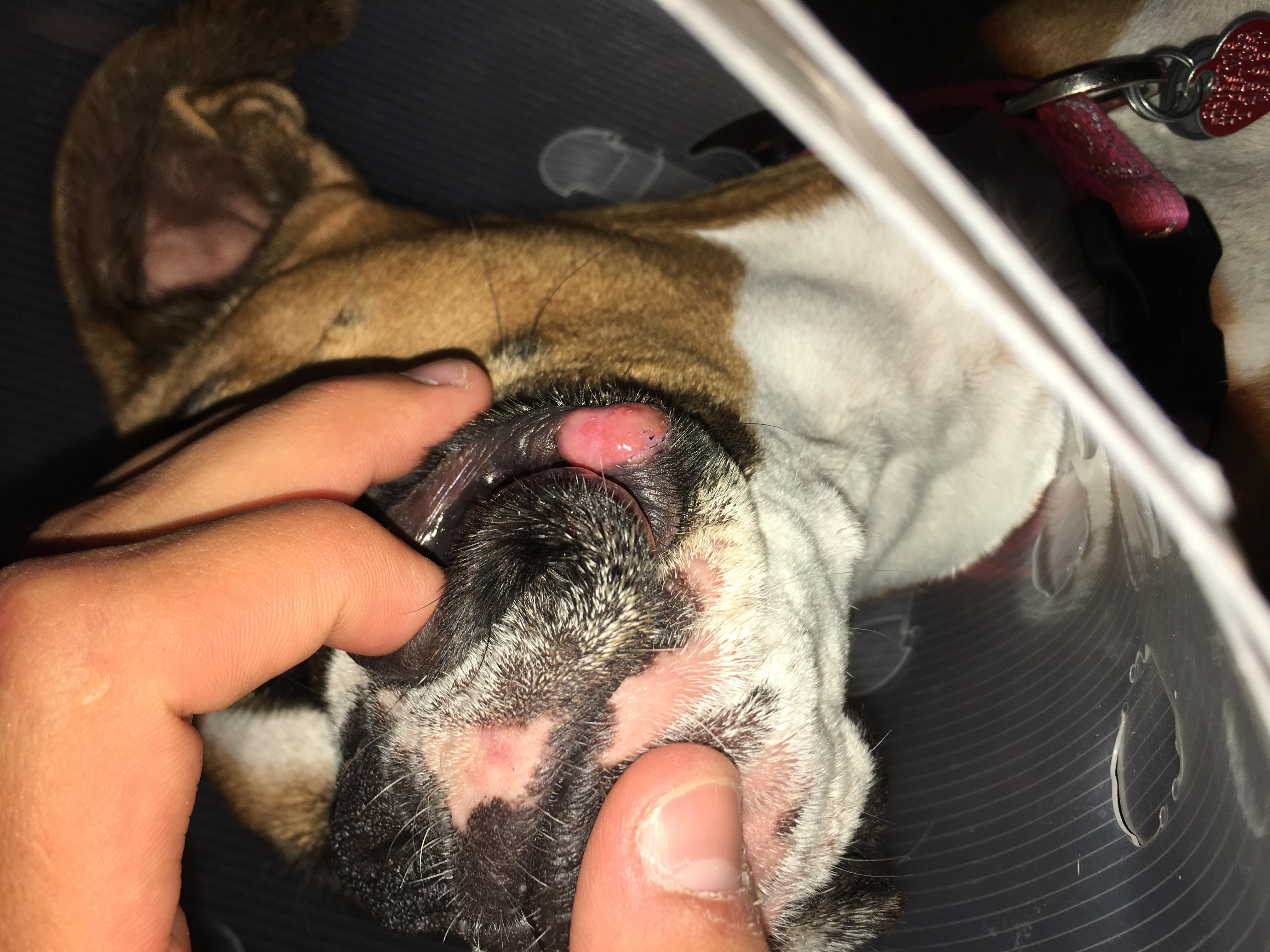 Question details sensitive content