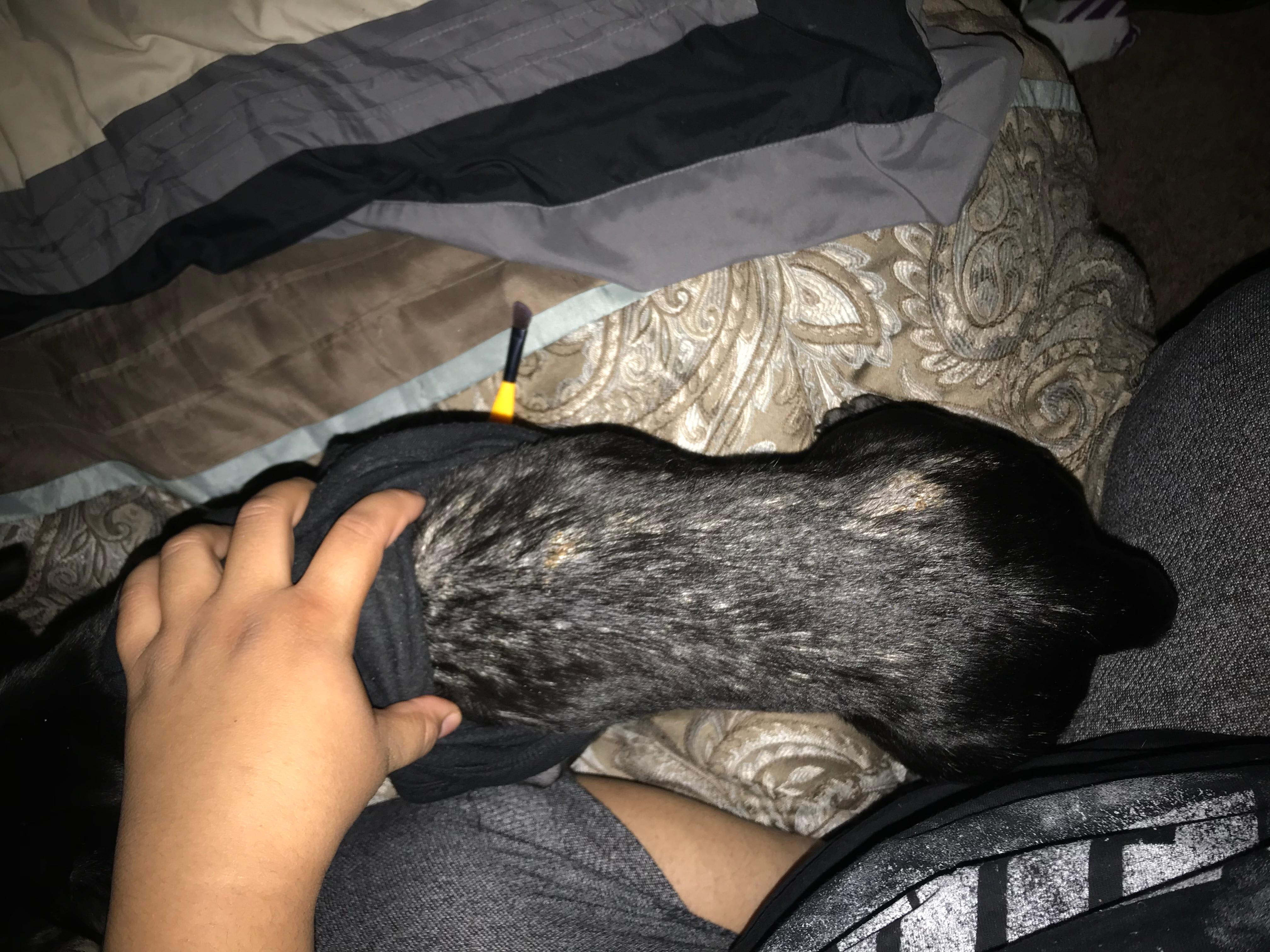 Question details sensitive content