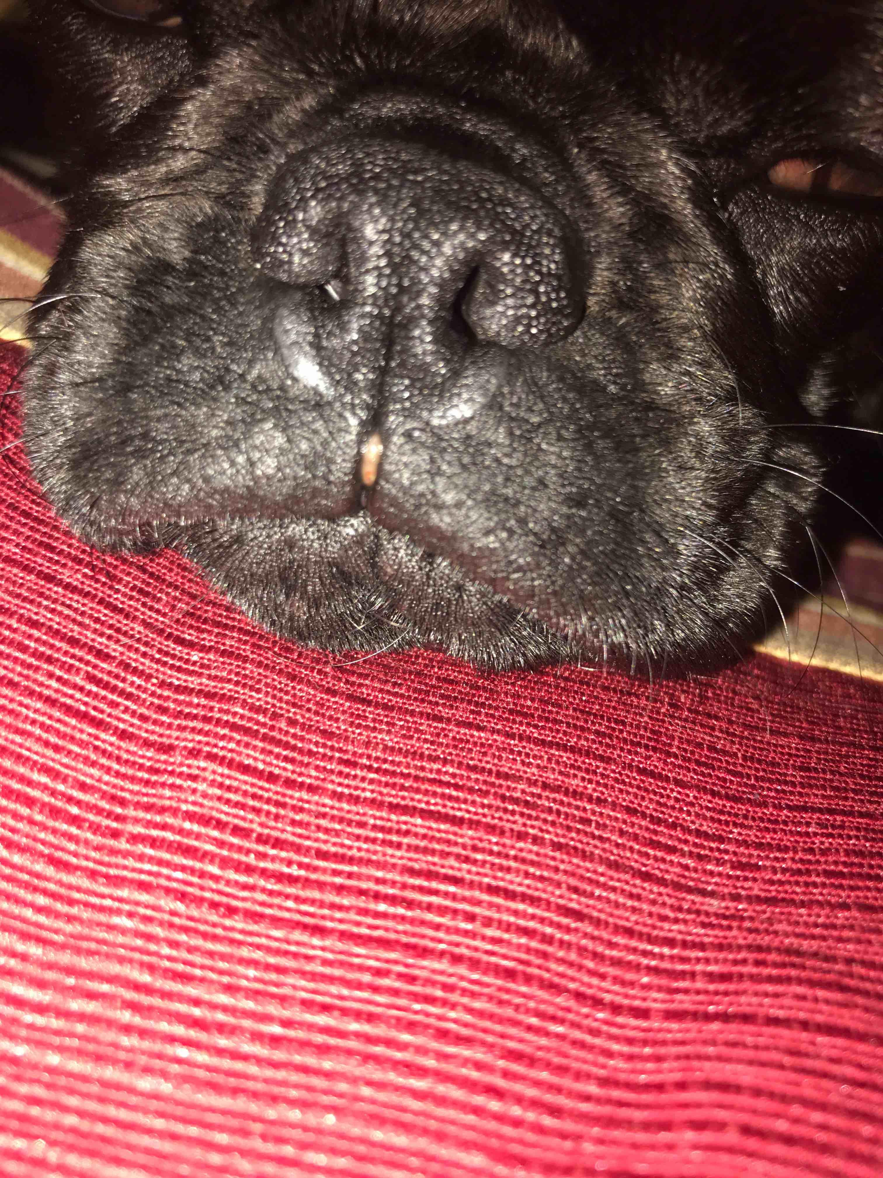 Question details sensitive content