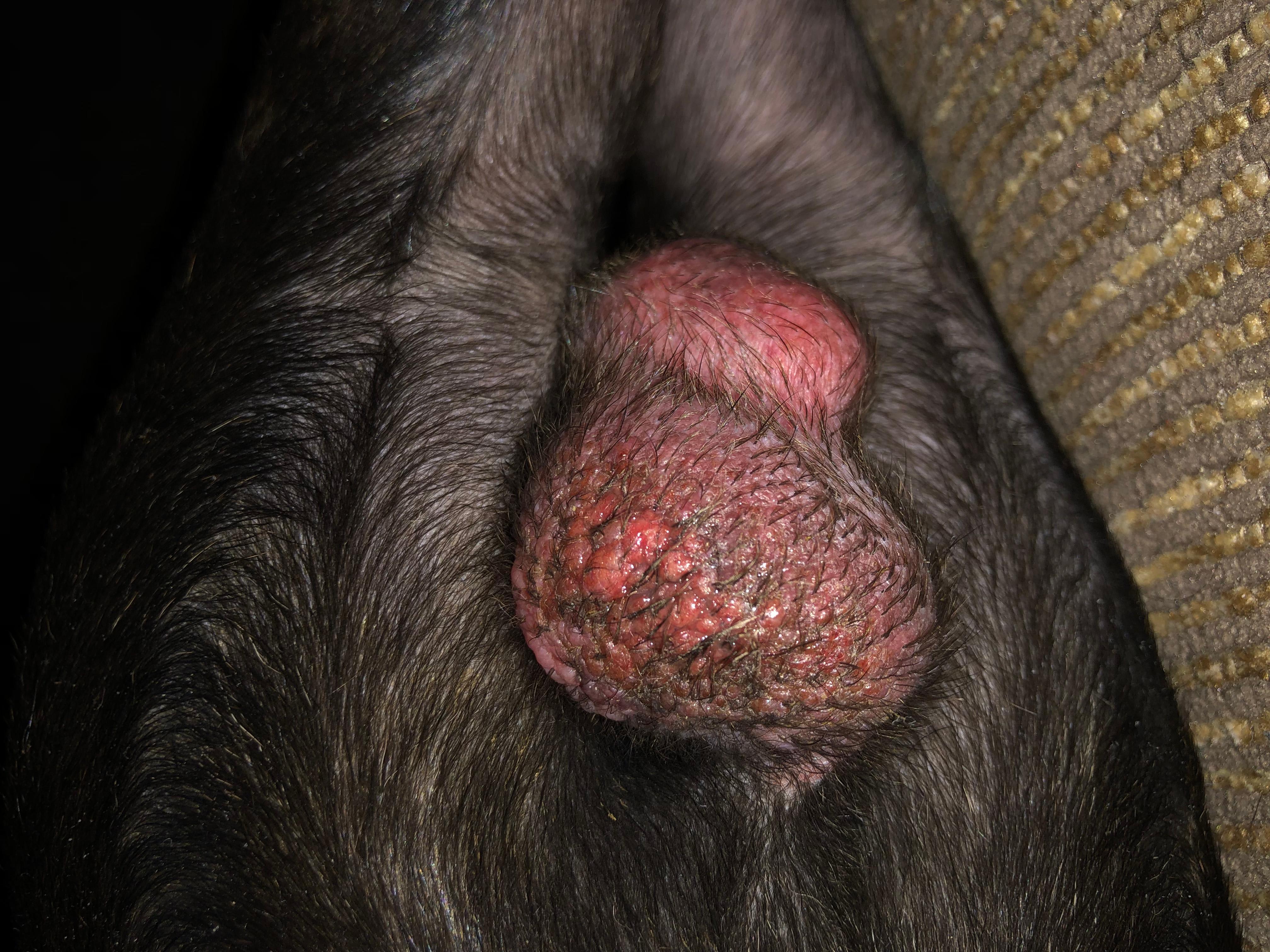 Question details sensitive content