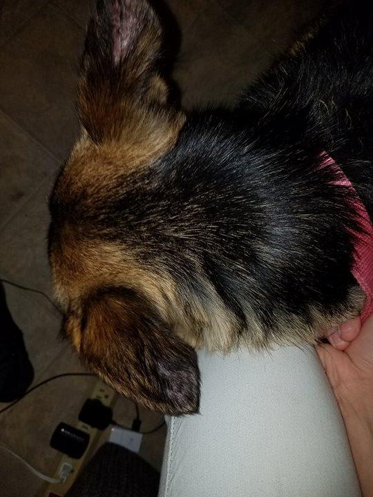 Question details sensitive content