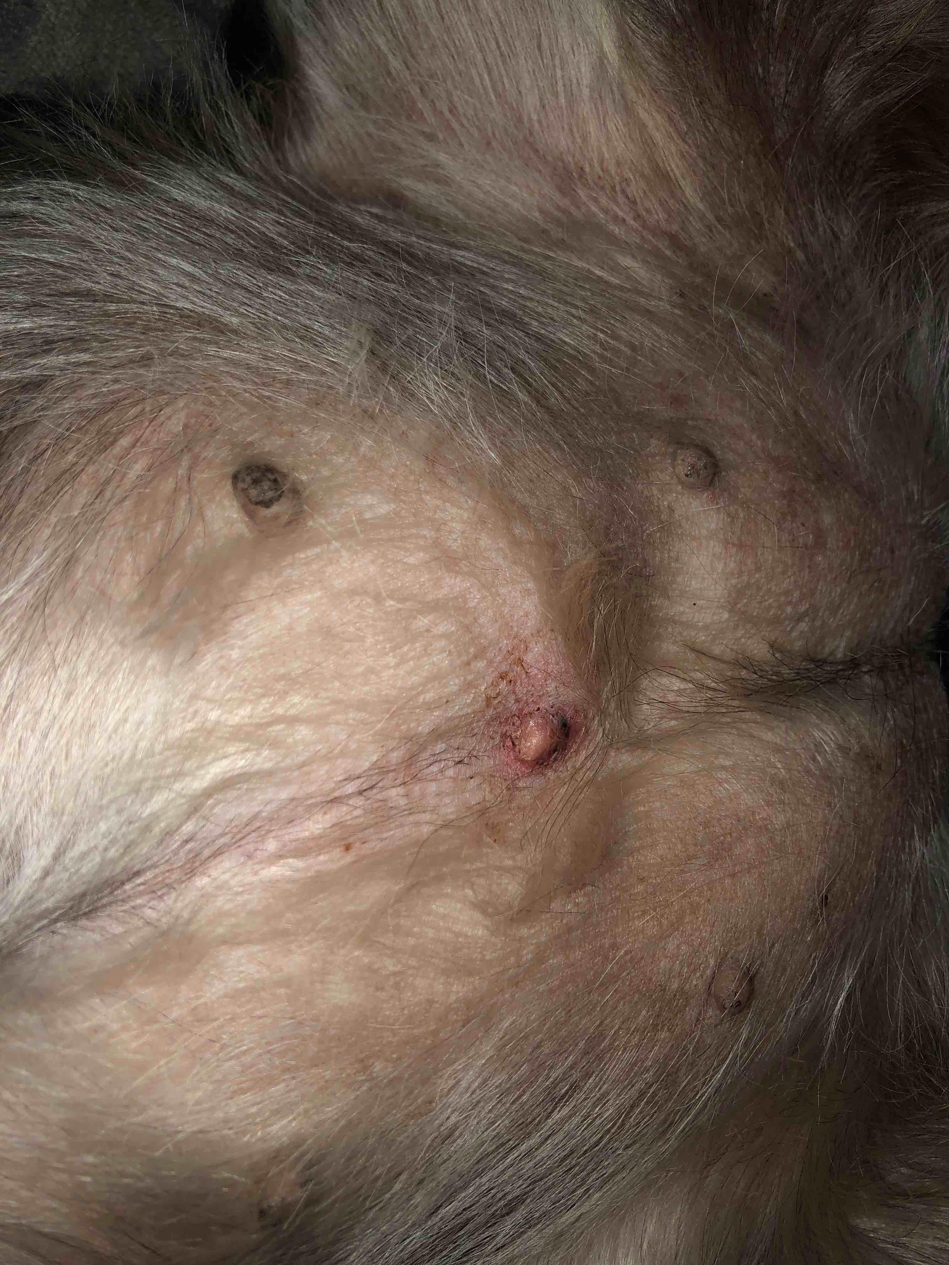 Question details sensitive content