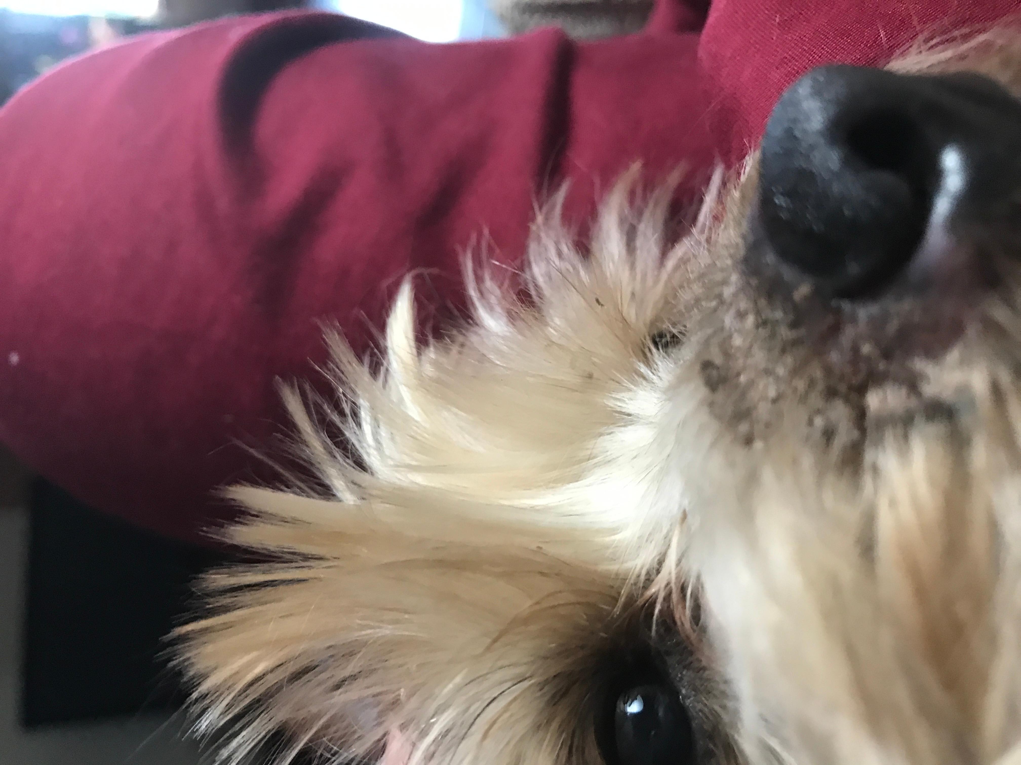 Question details sensitive content