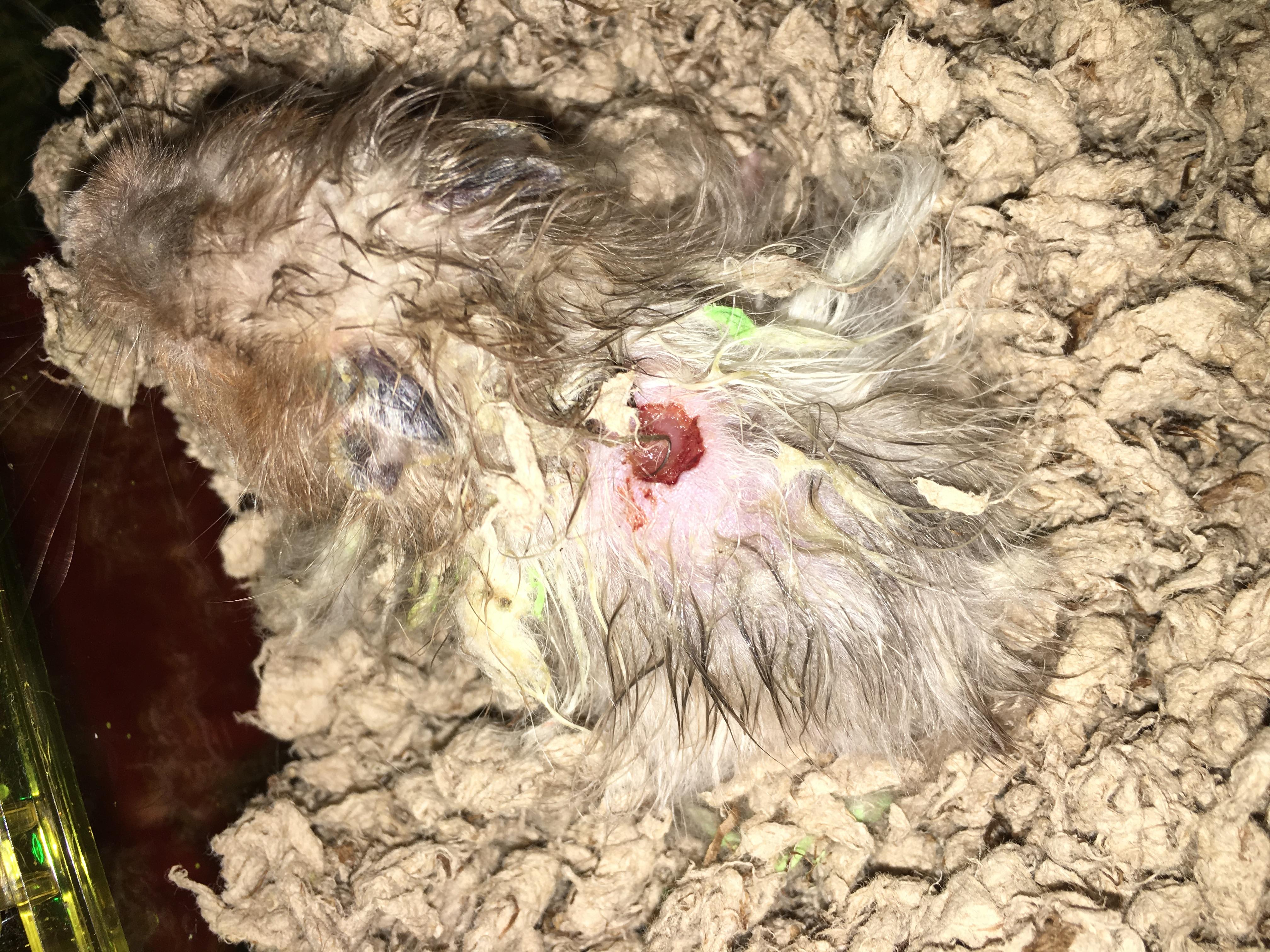 Question details sensitive content