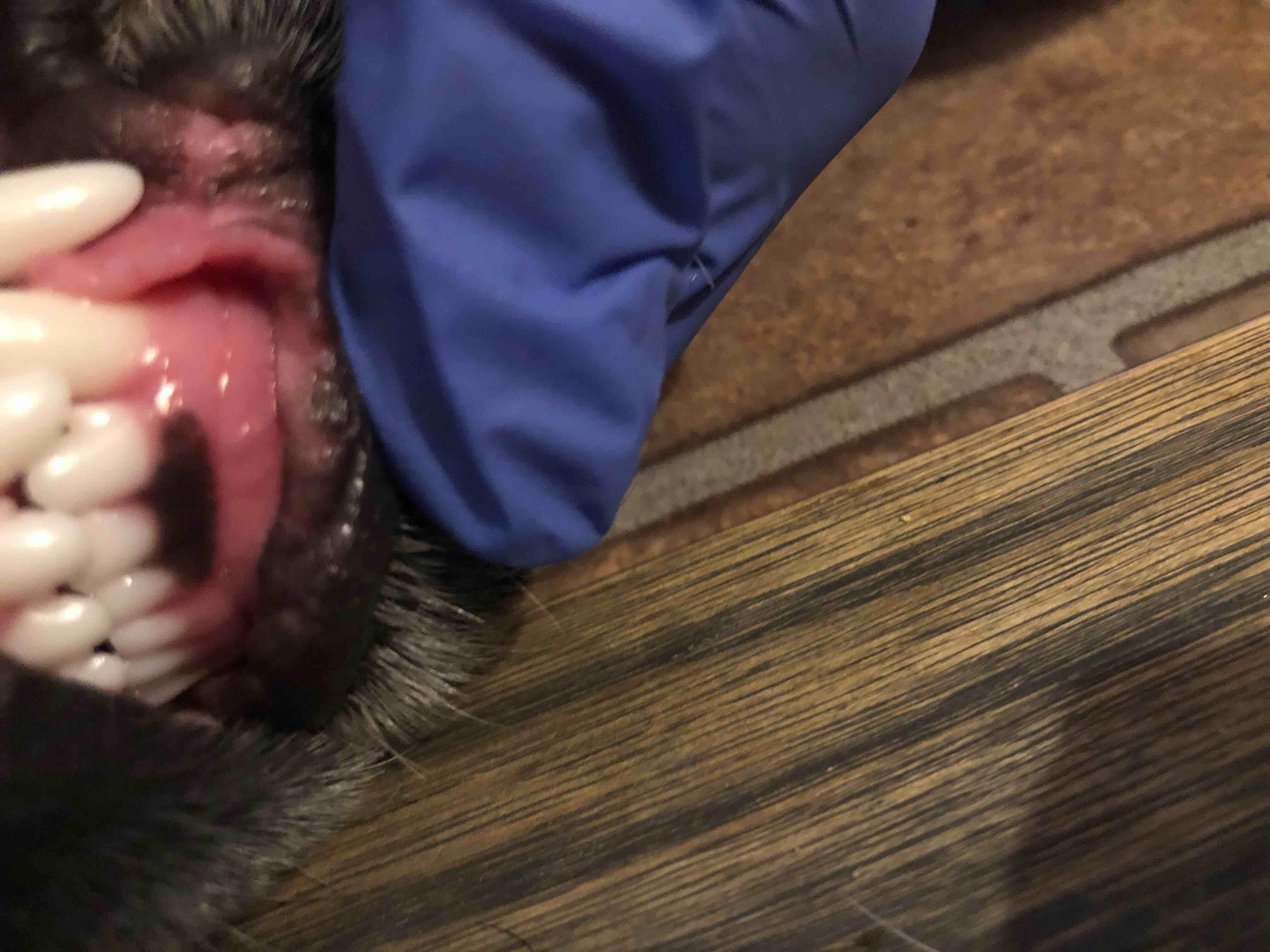 Question details sensitive content