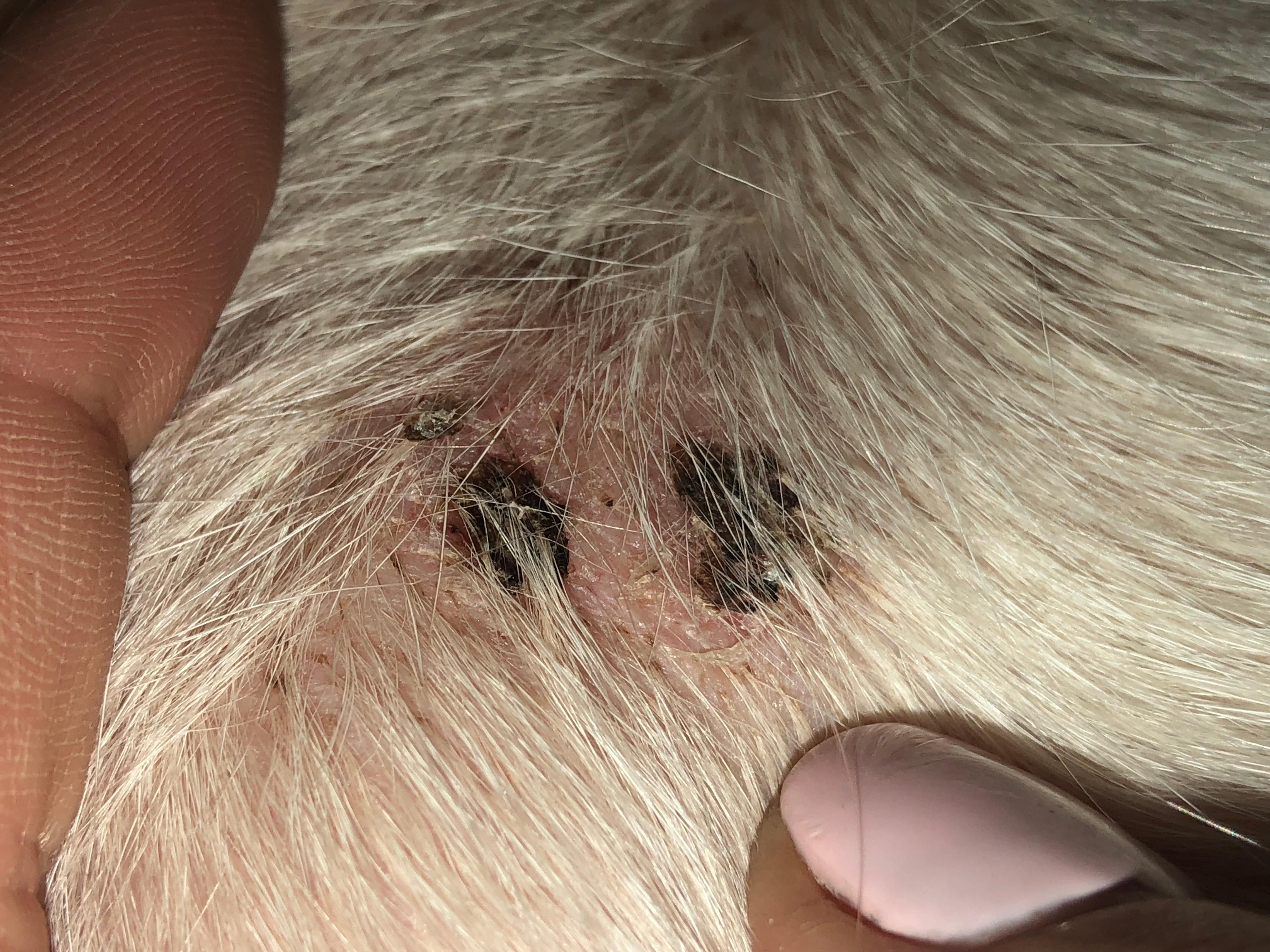 Question details sensitive content