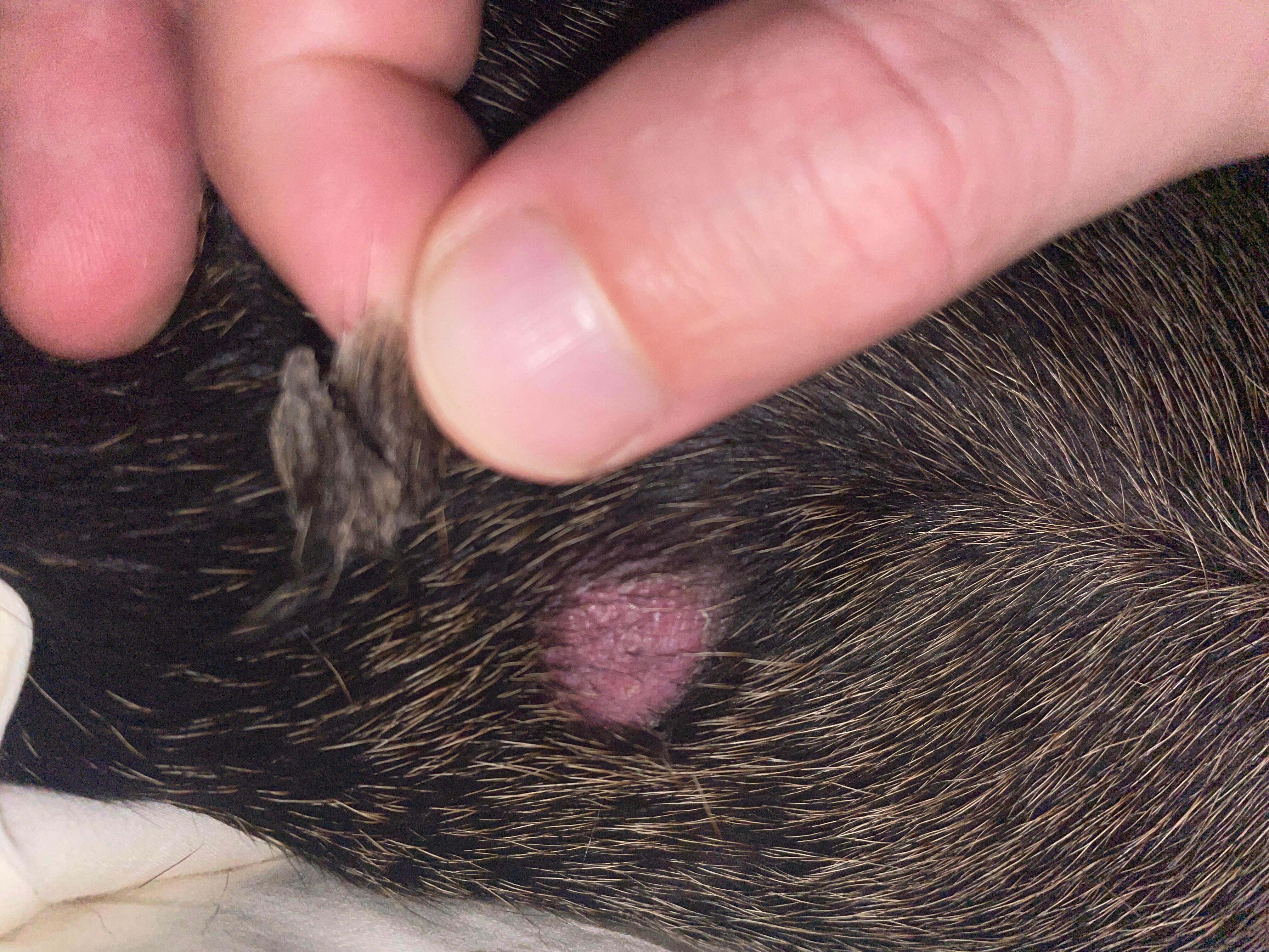 Question details sensitive content