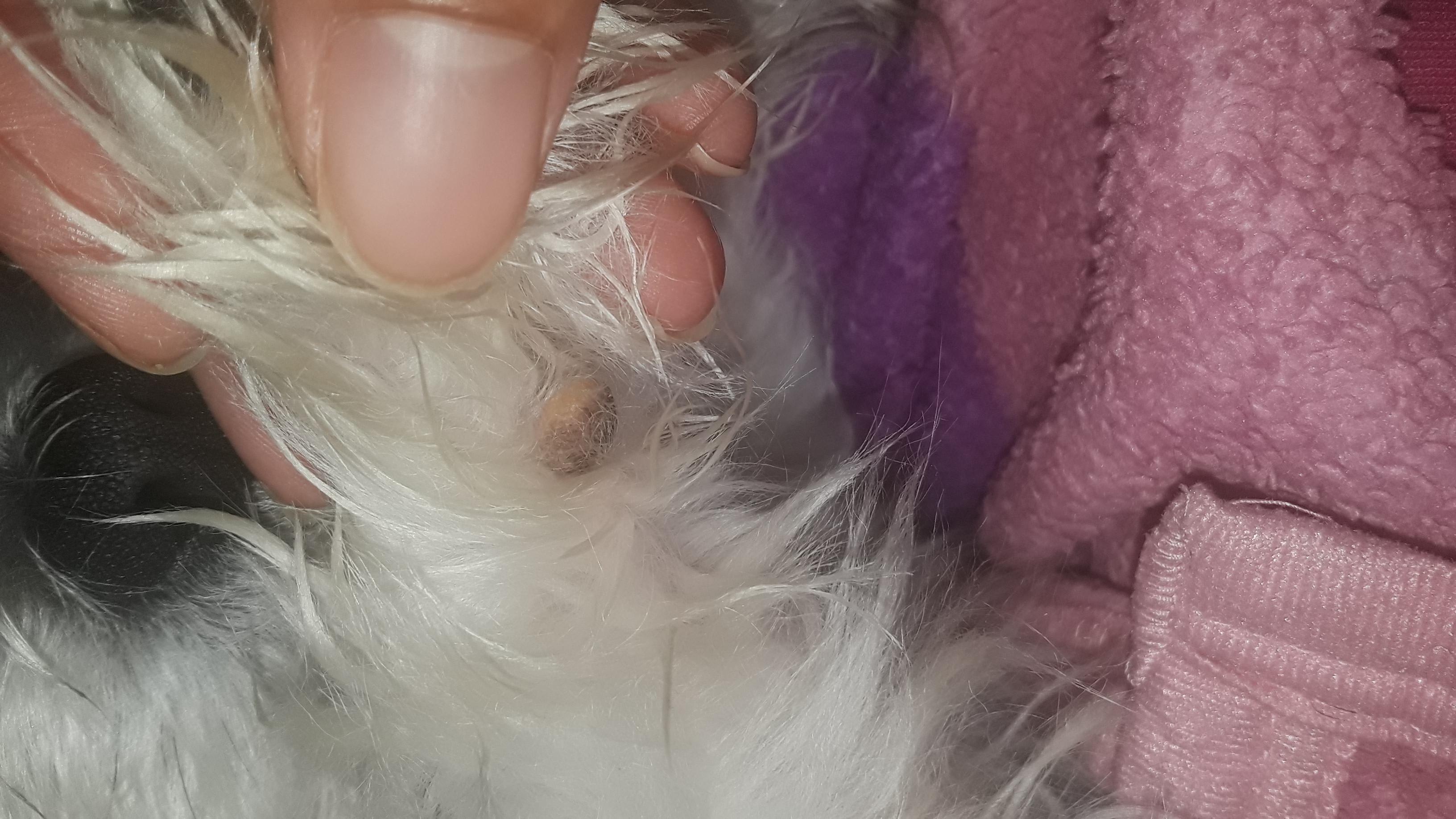 Question details sensitive content