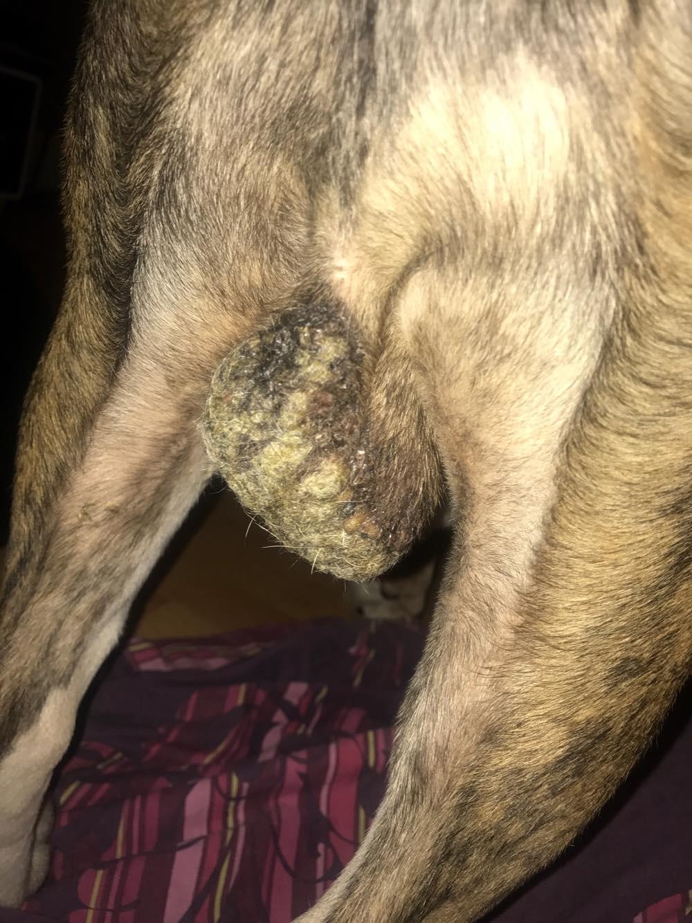 Question details sensitive content