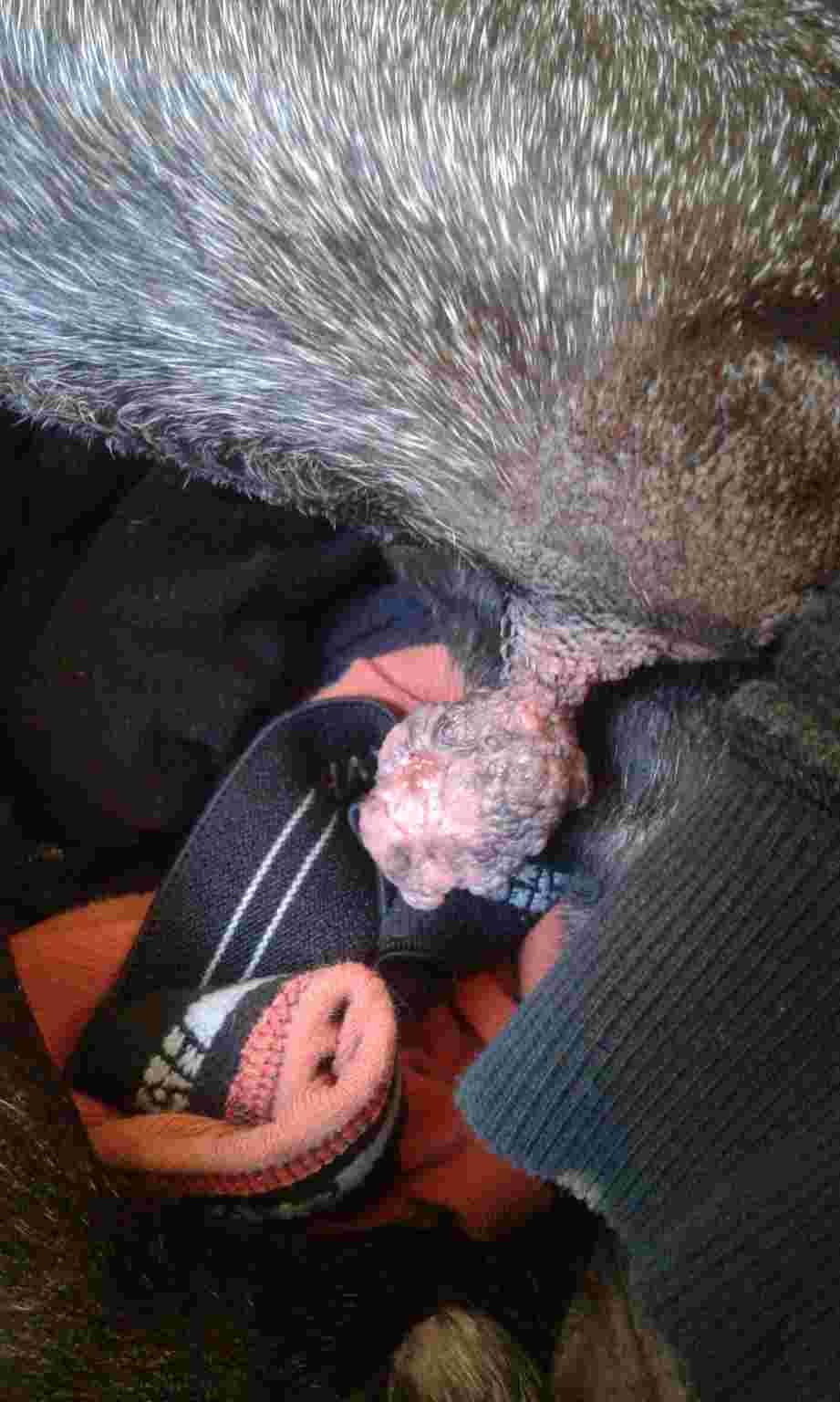 Question details sensitive content