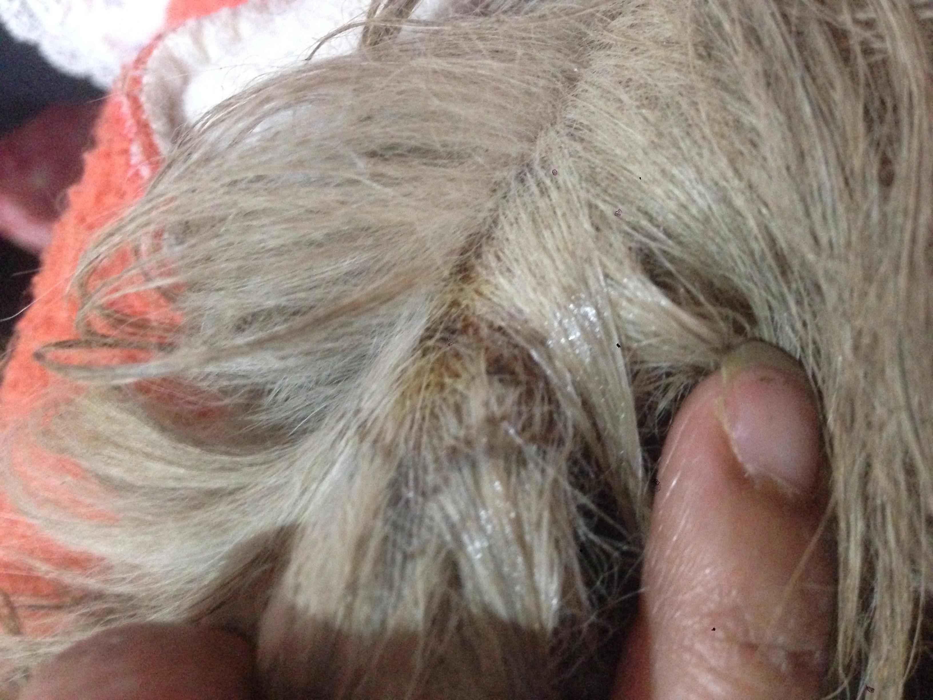 Question details sensitive content