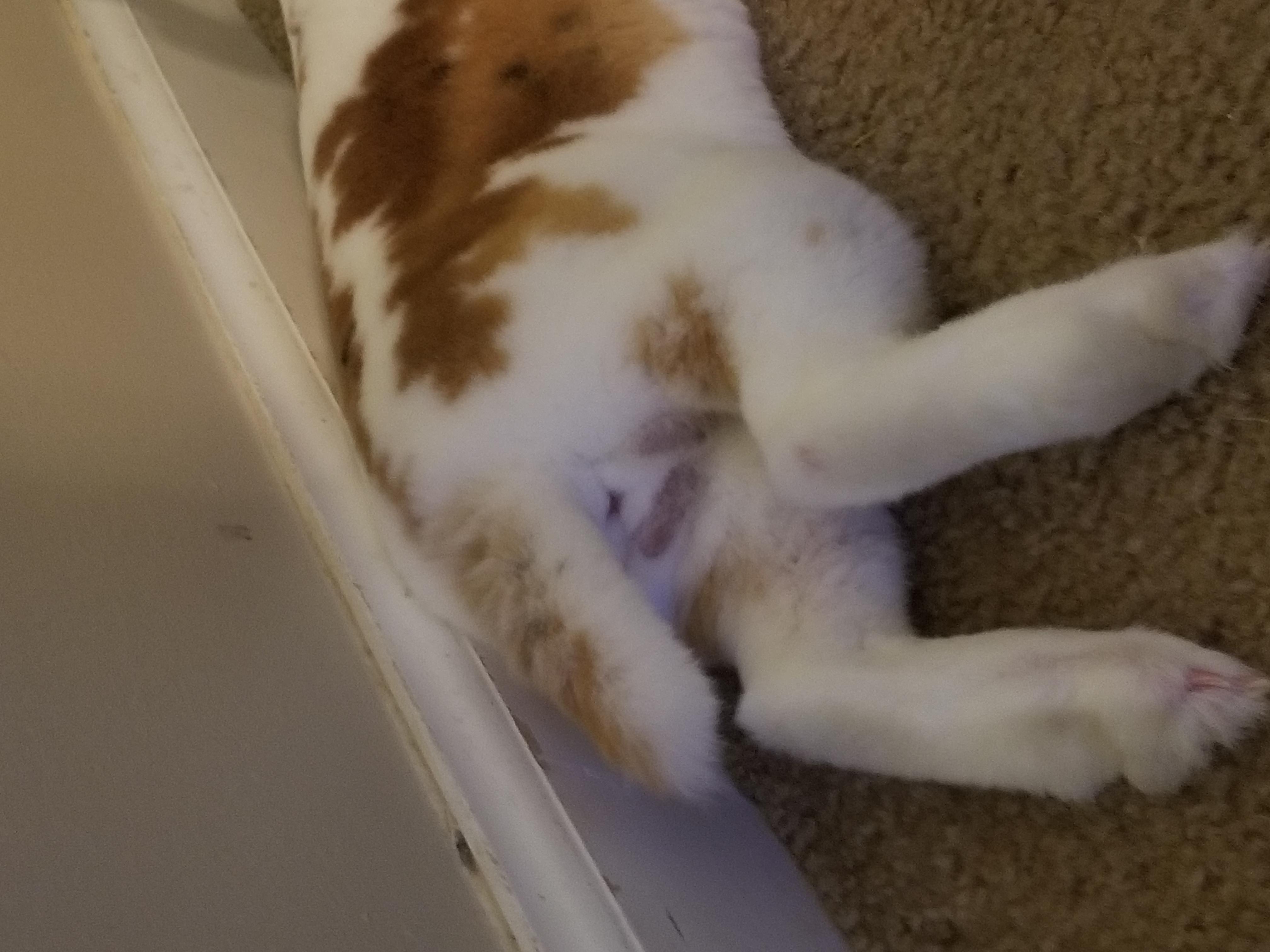 Question details sensitive content