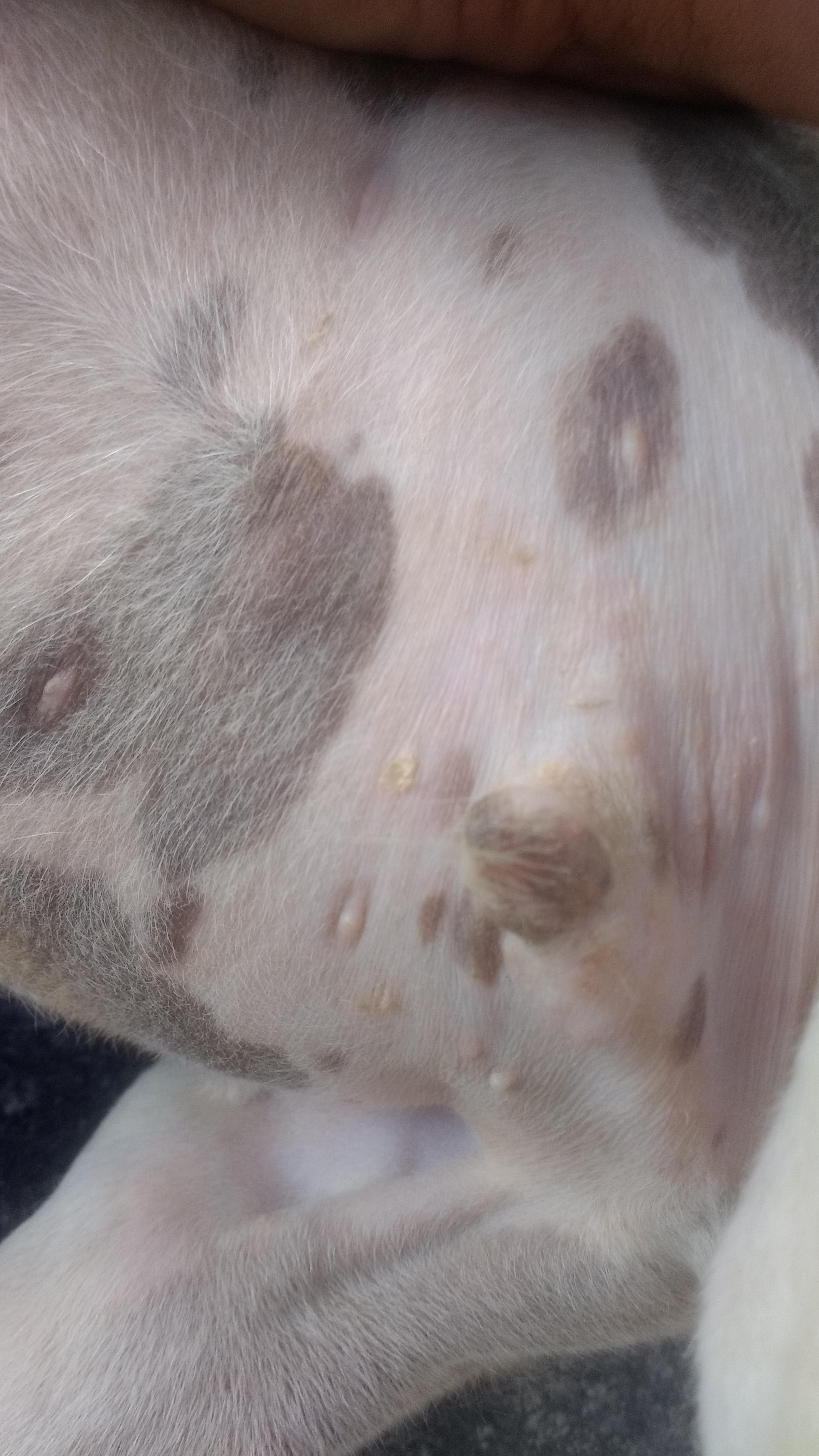 Question details sensitive content