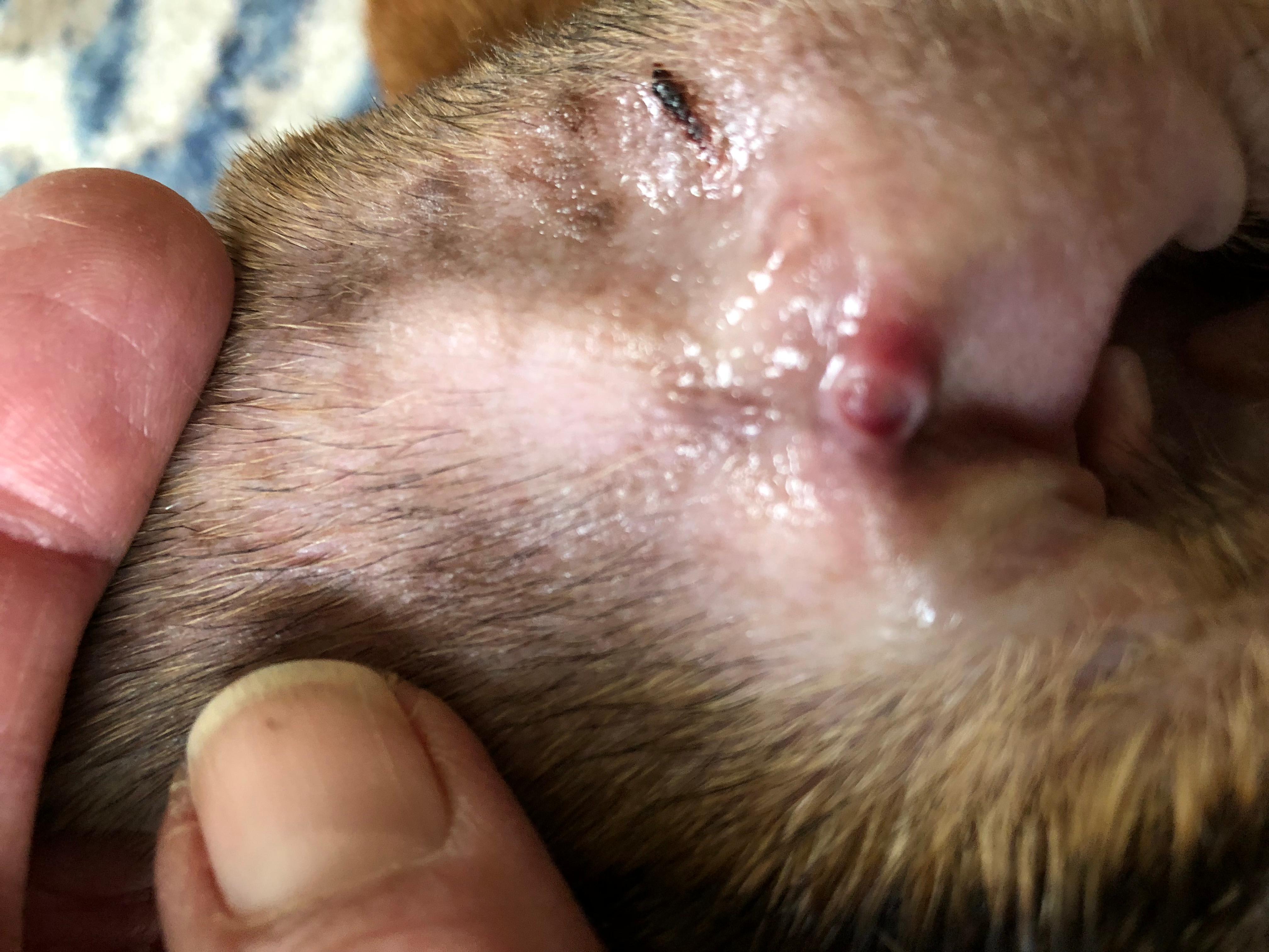 Question details sensitive content