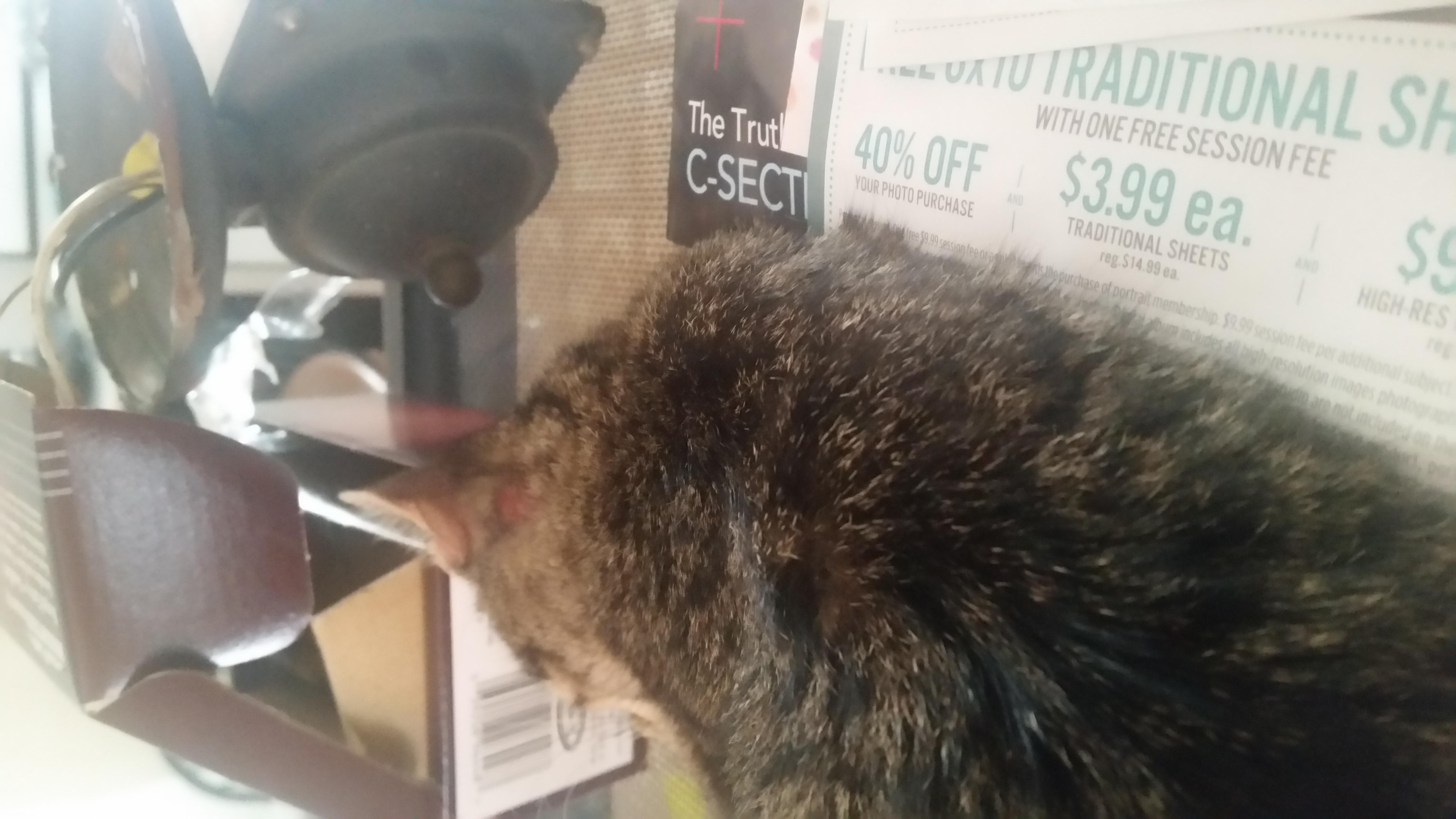 Question details sensitive content