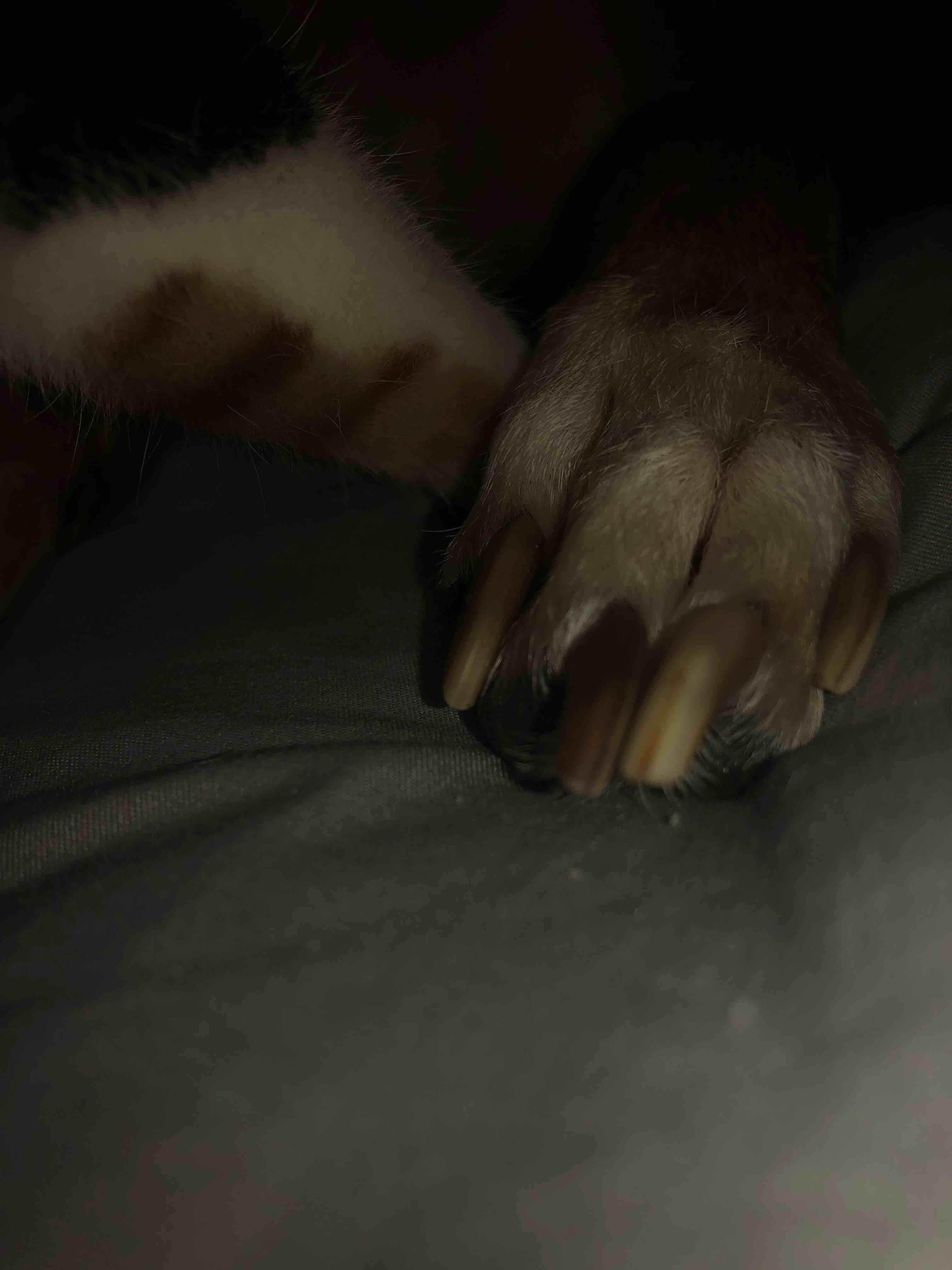 Question details sensitive content