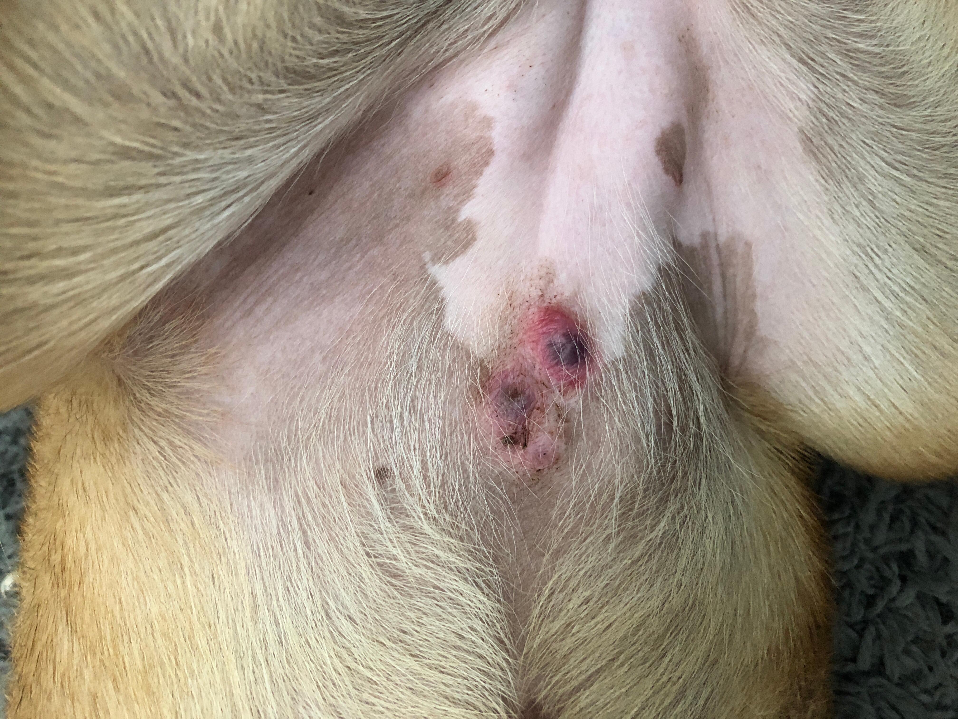 Question details sensitive content