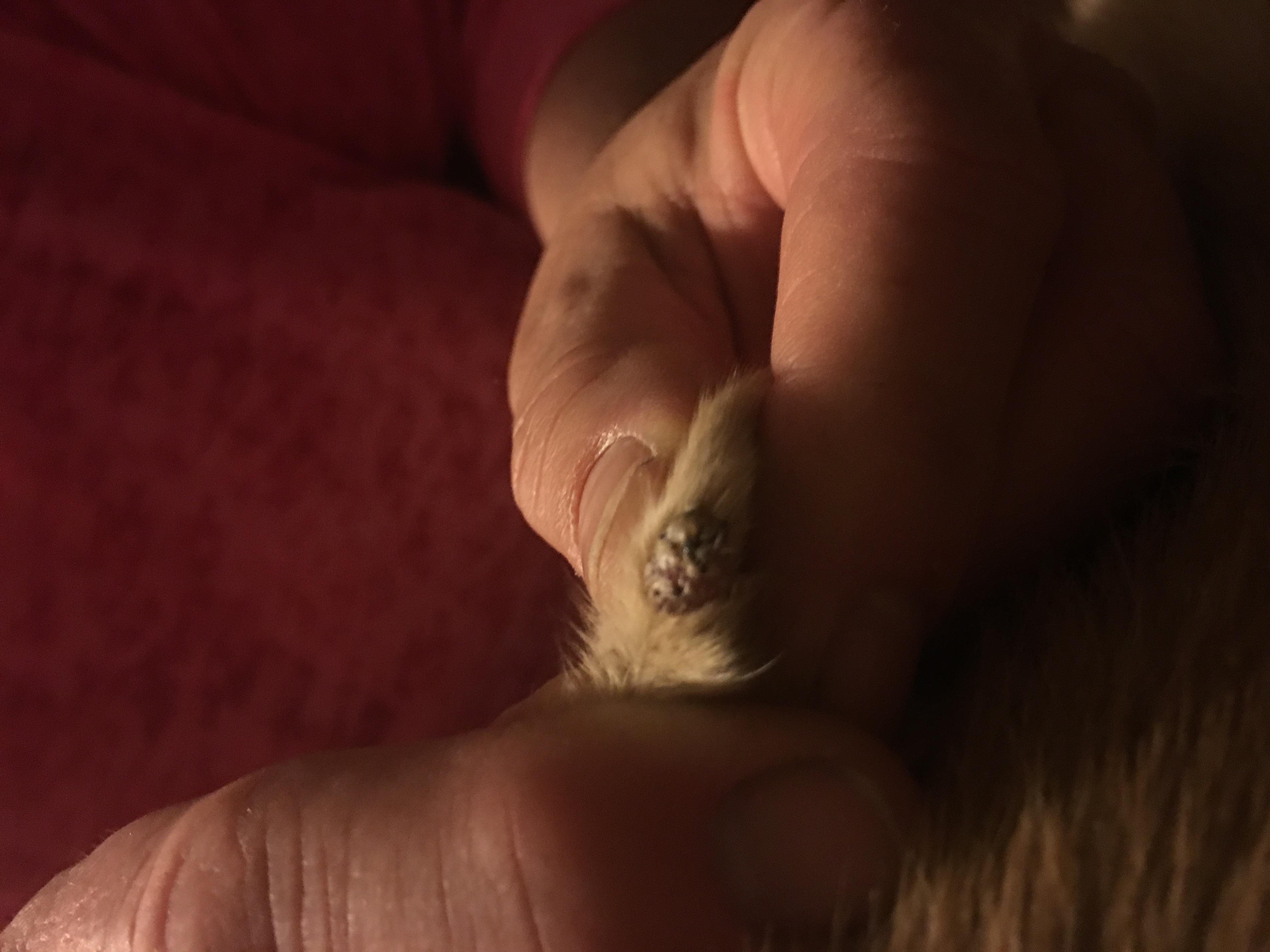 Question details sensitive content