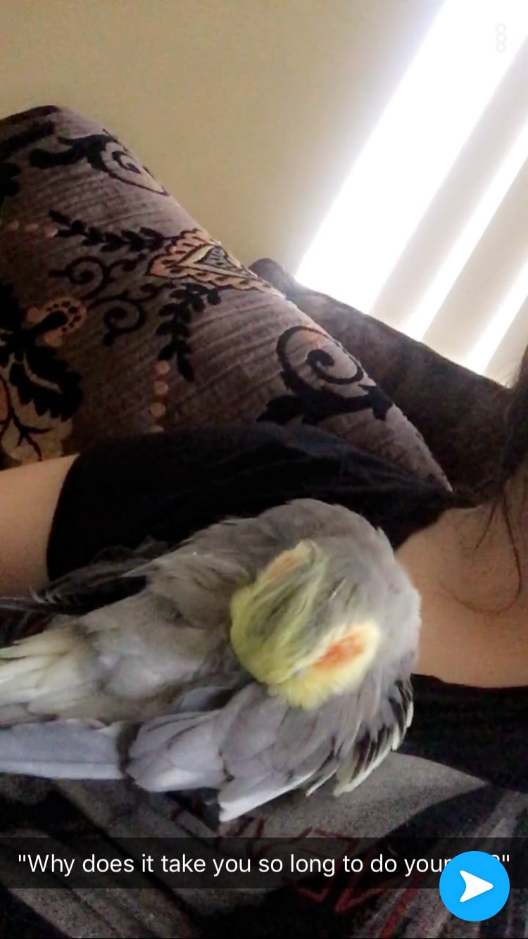 Question details sensitive content