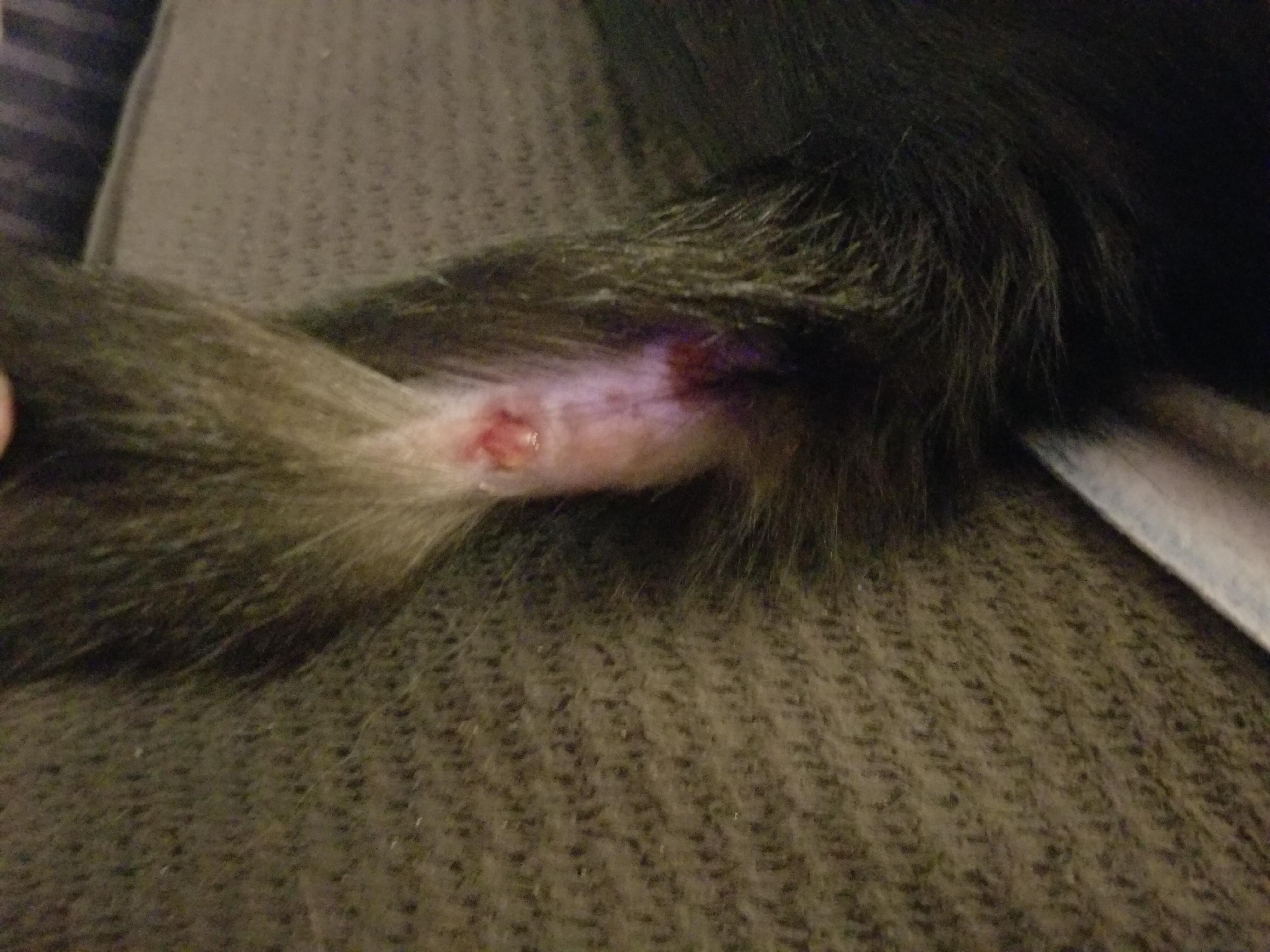 Question details sensitive content