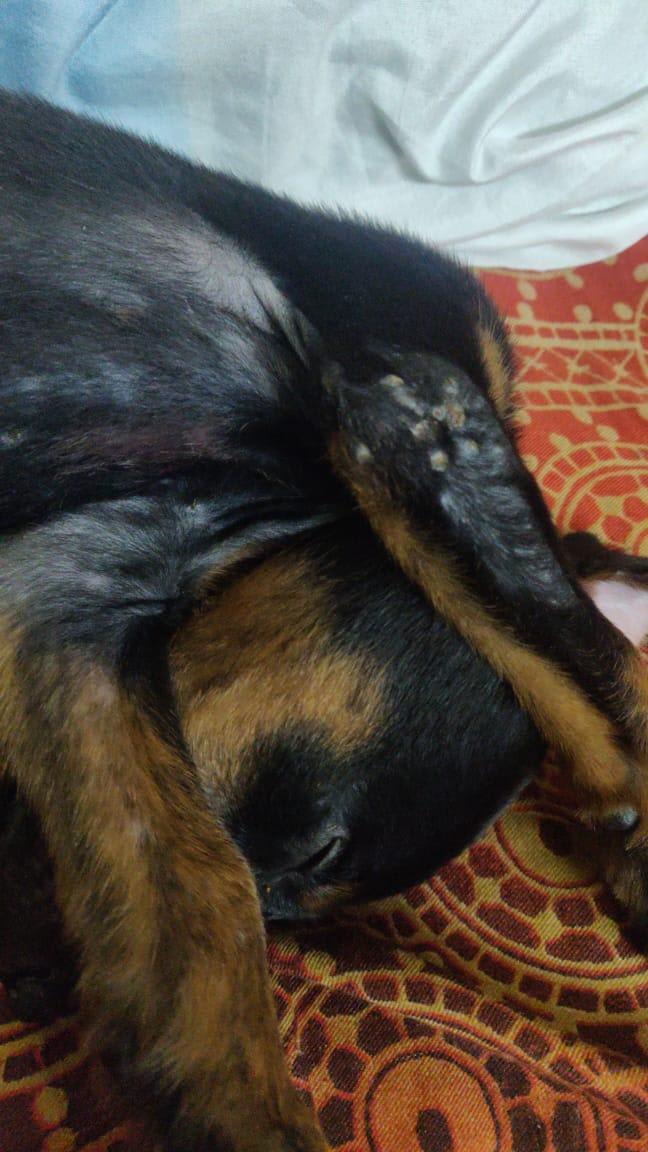 Question details sensitive content