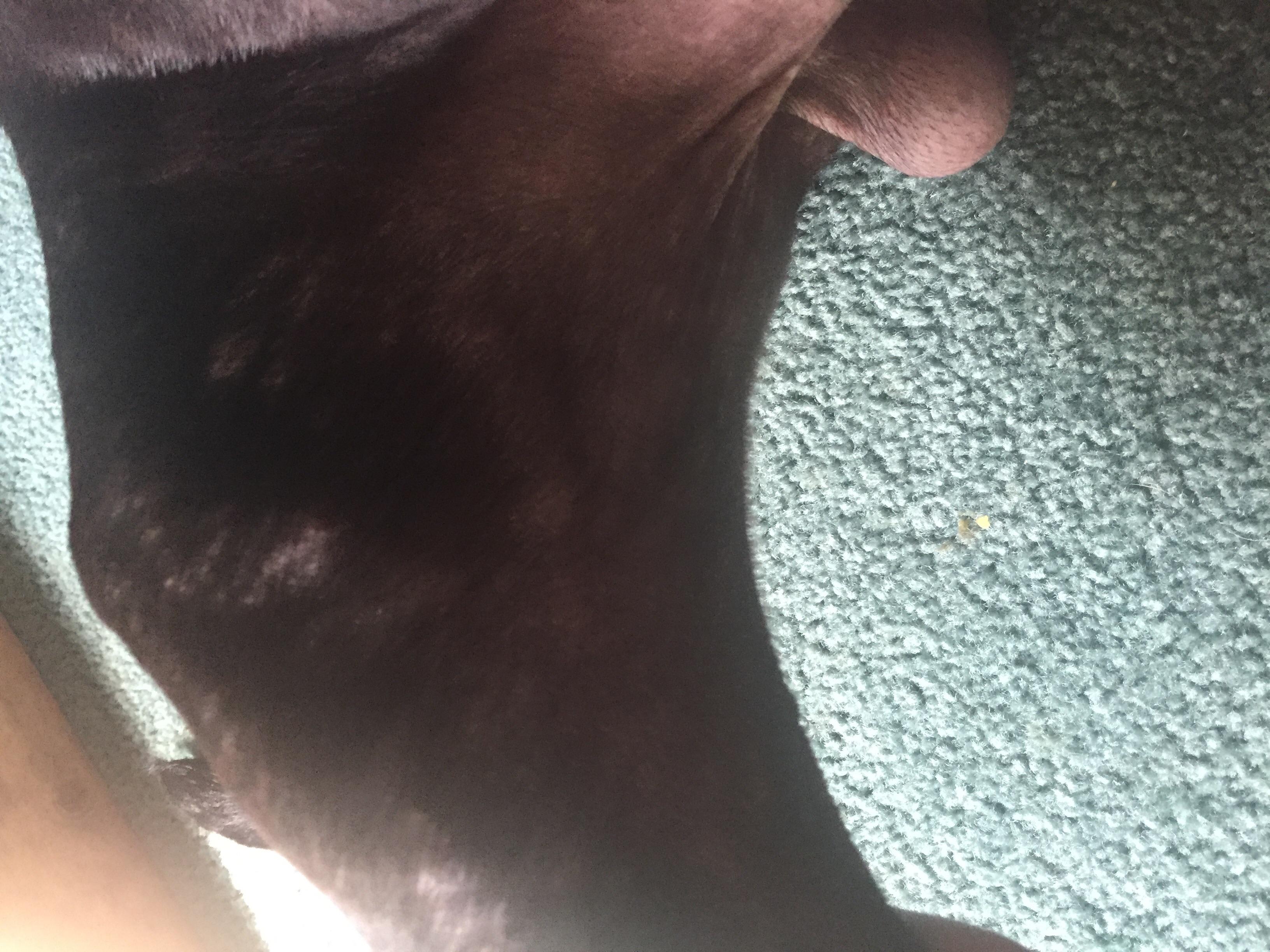 Question details sensitive content