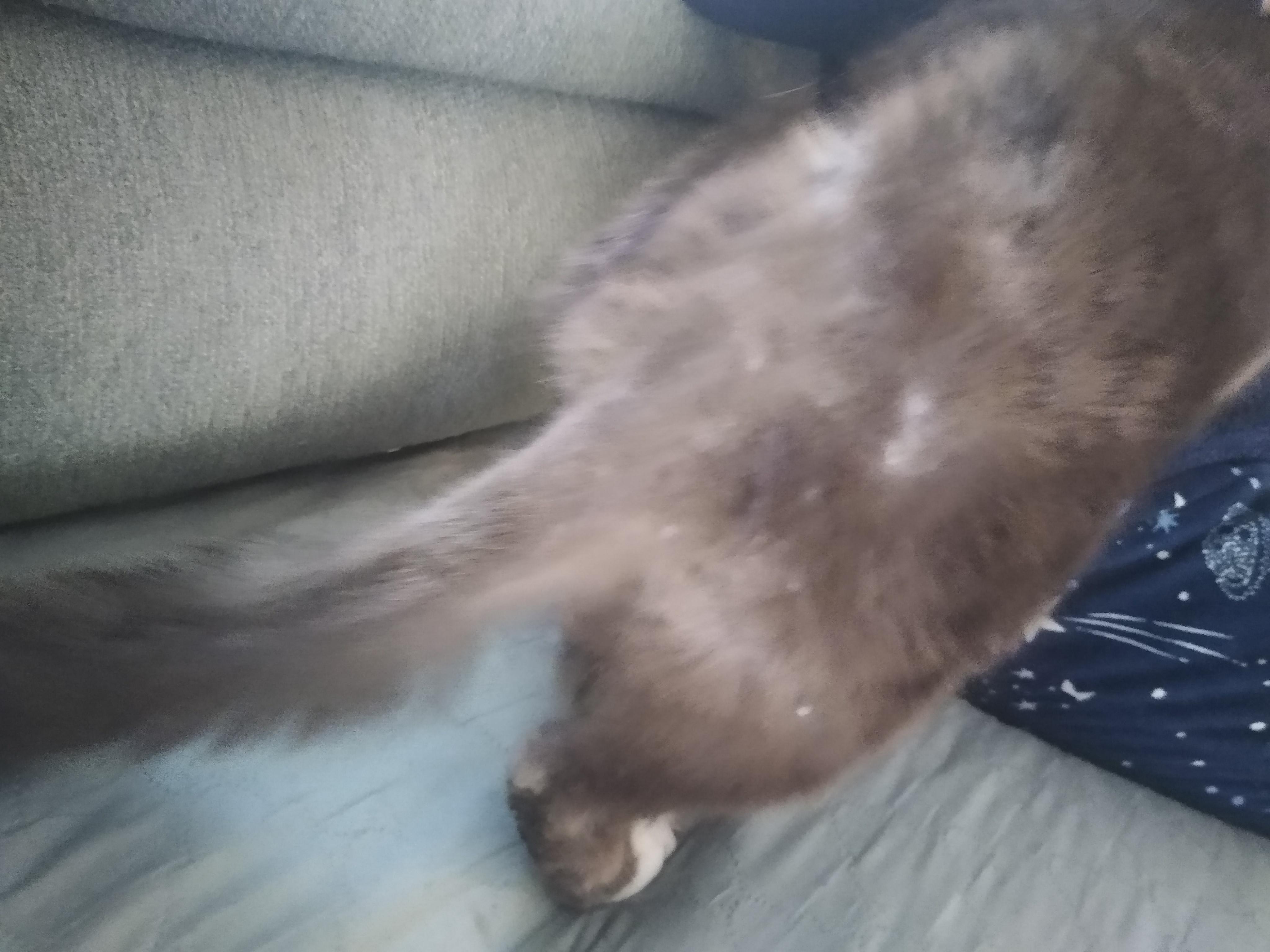 Question details sensitive content