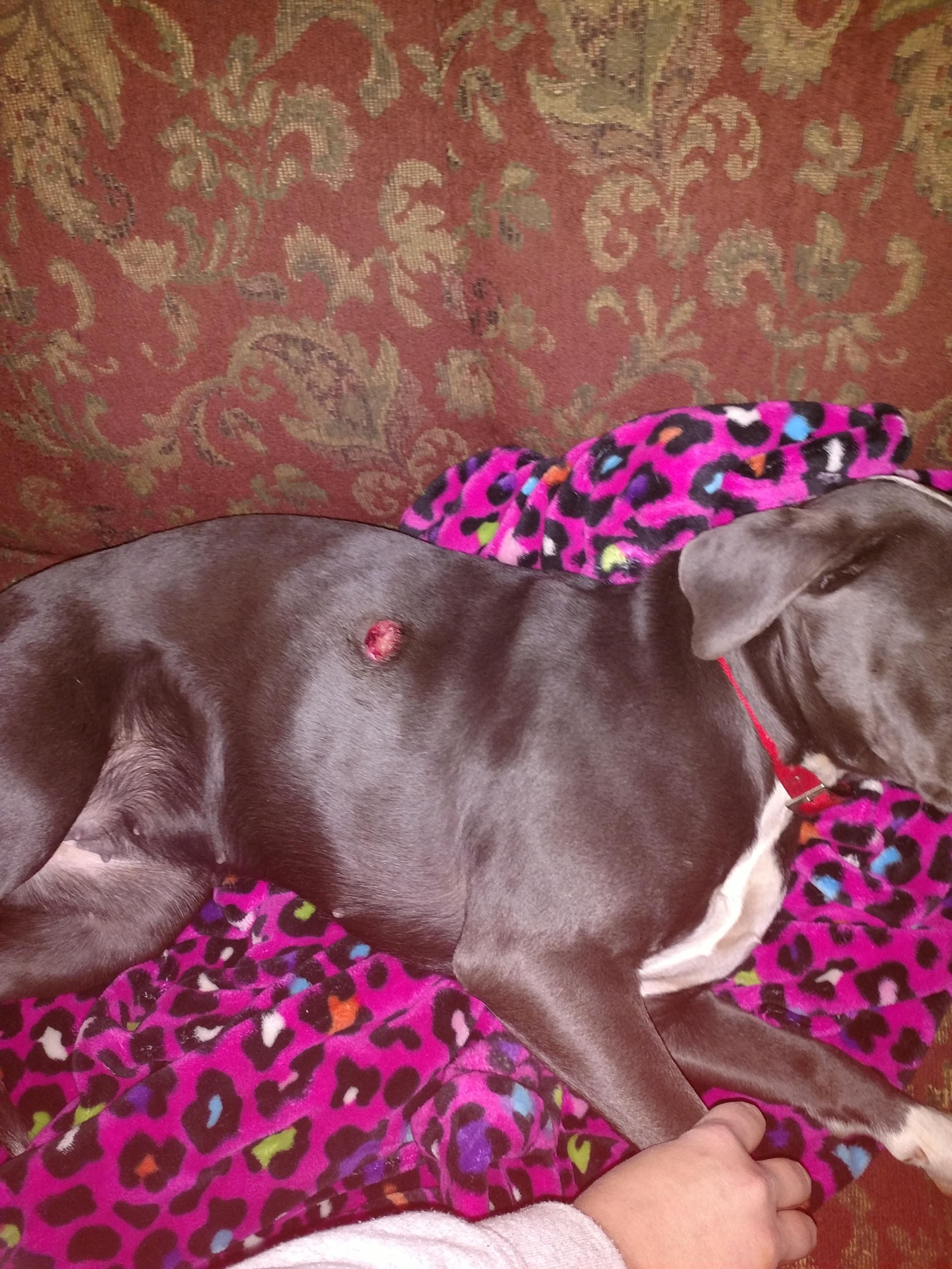 Question details sensitive content