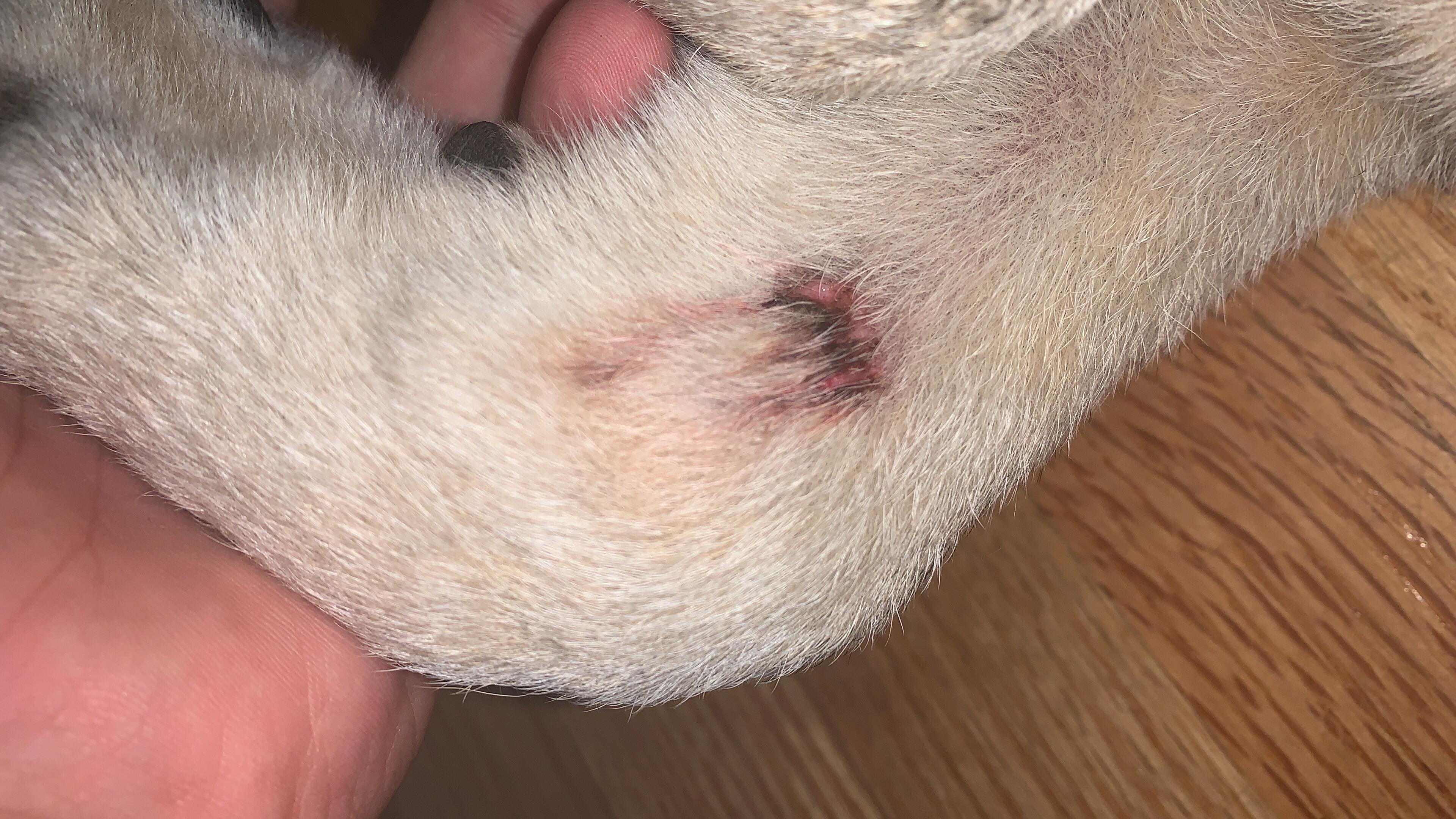 Question details sensitive content