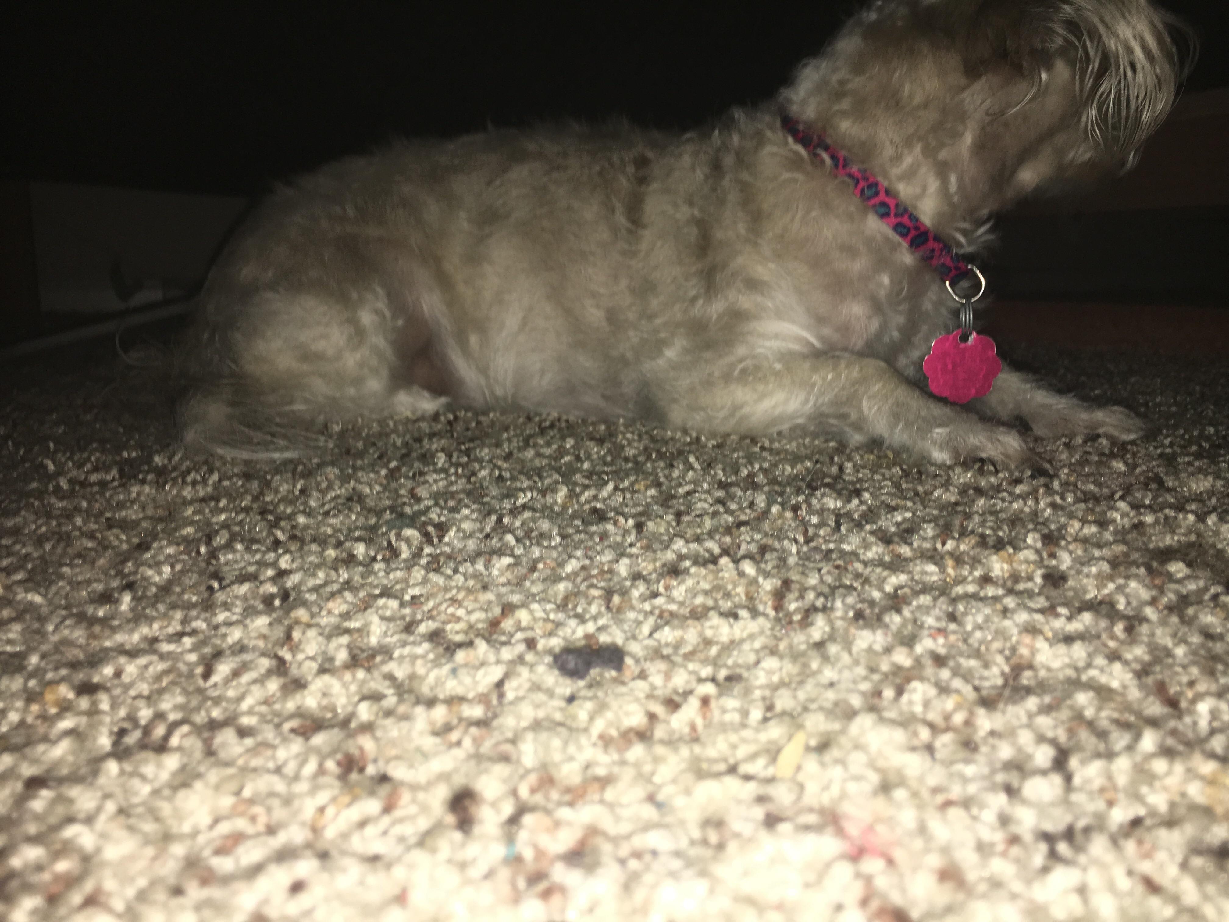 Question details sensitive content