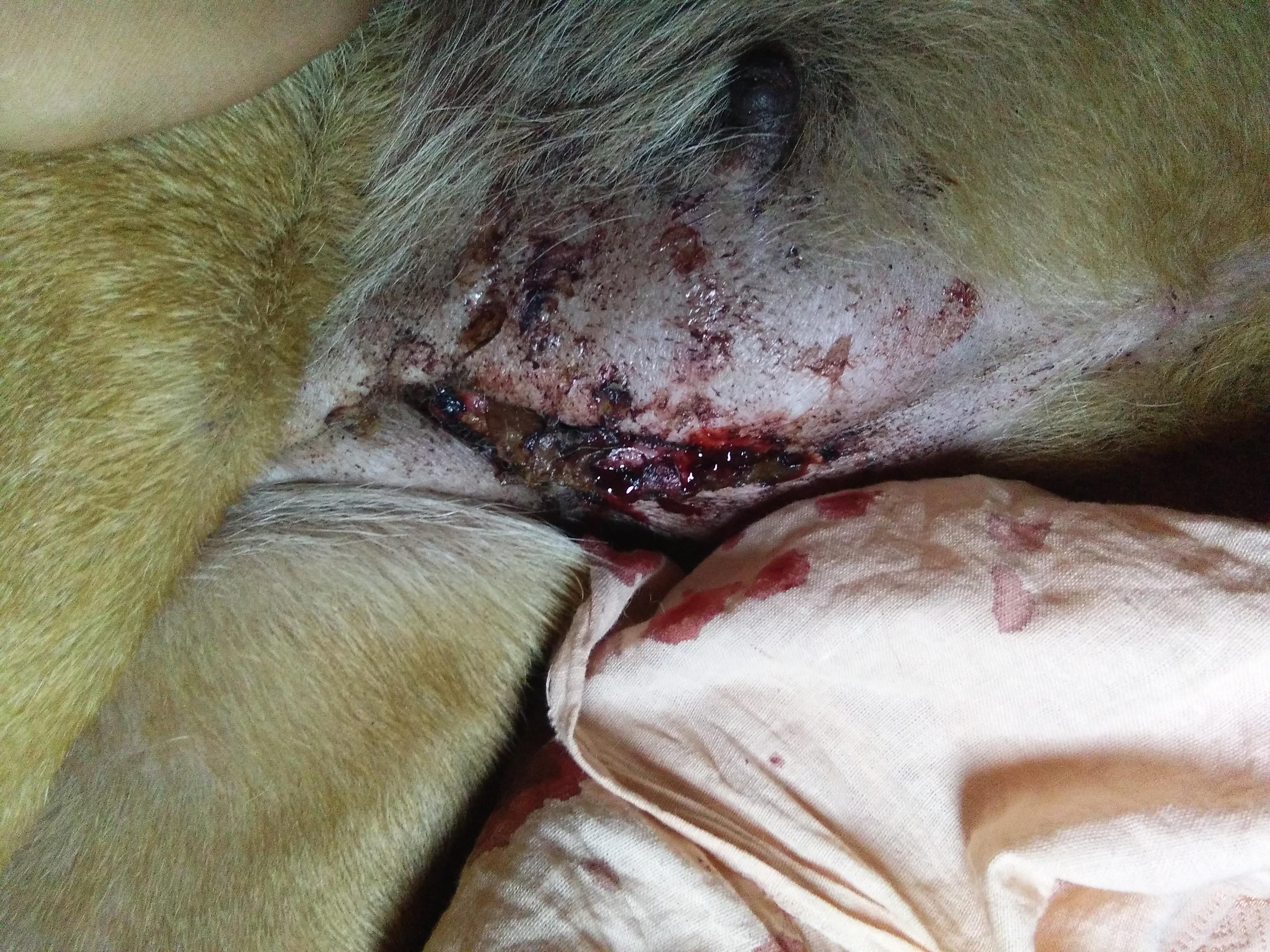 Question details sensitive content