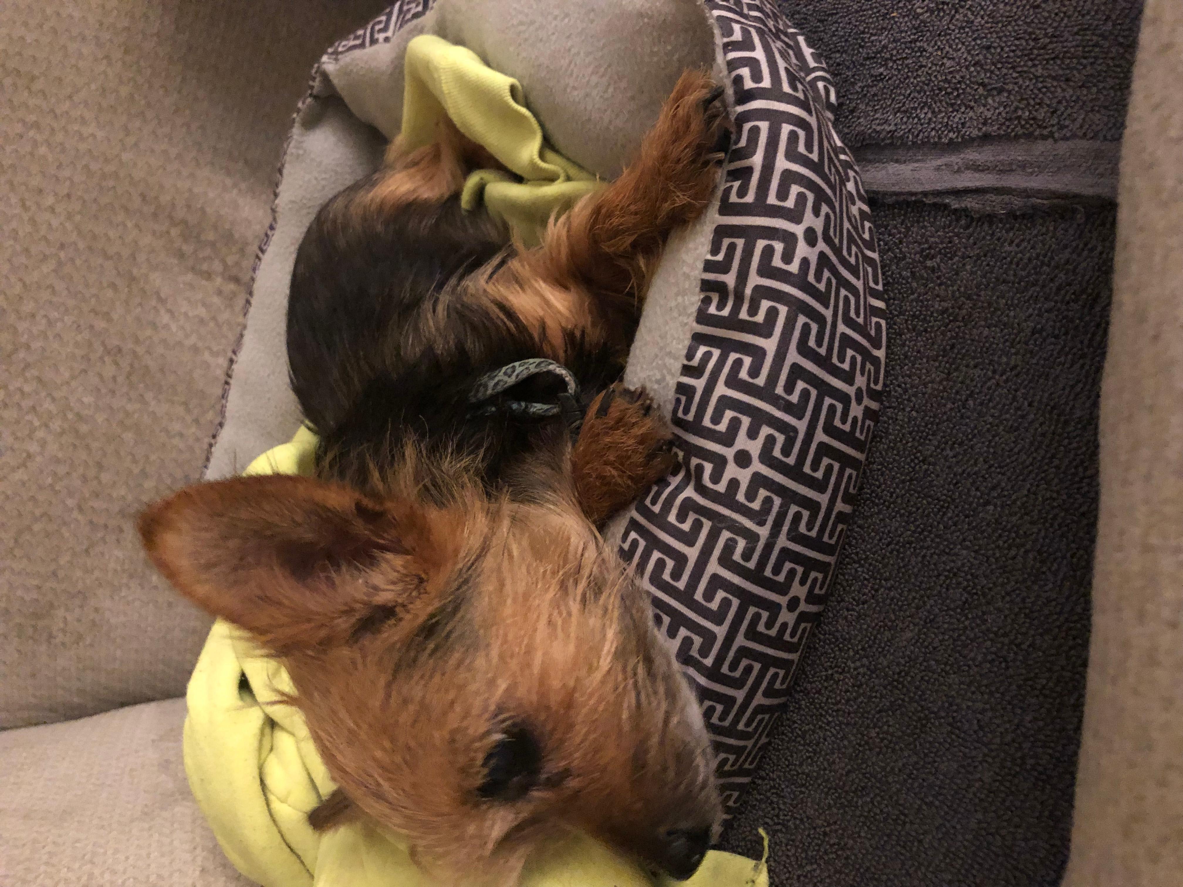 Question details sensitive content