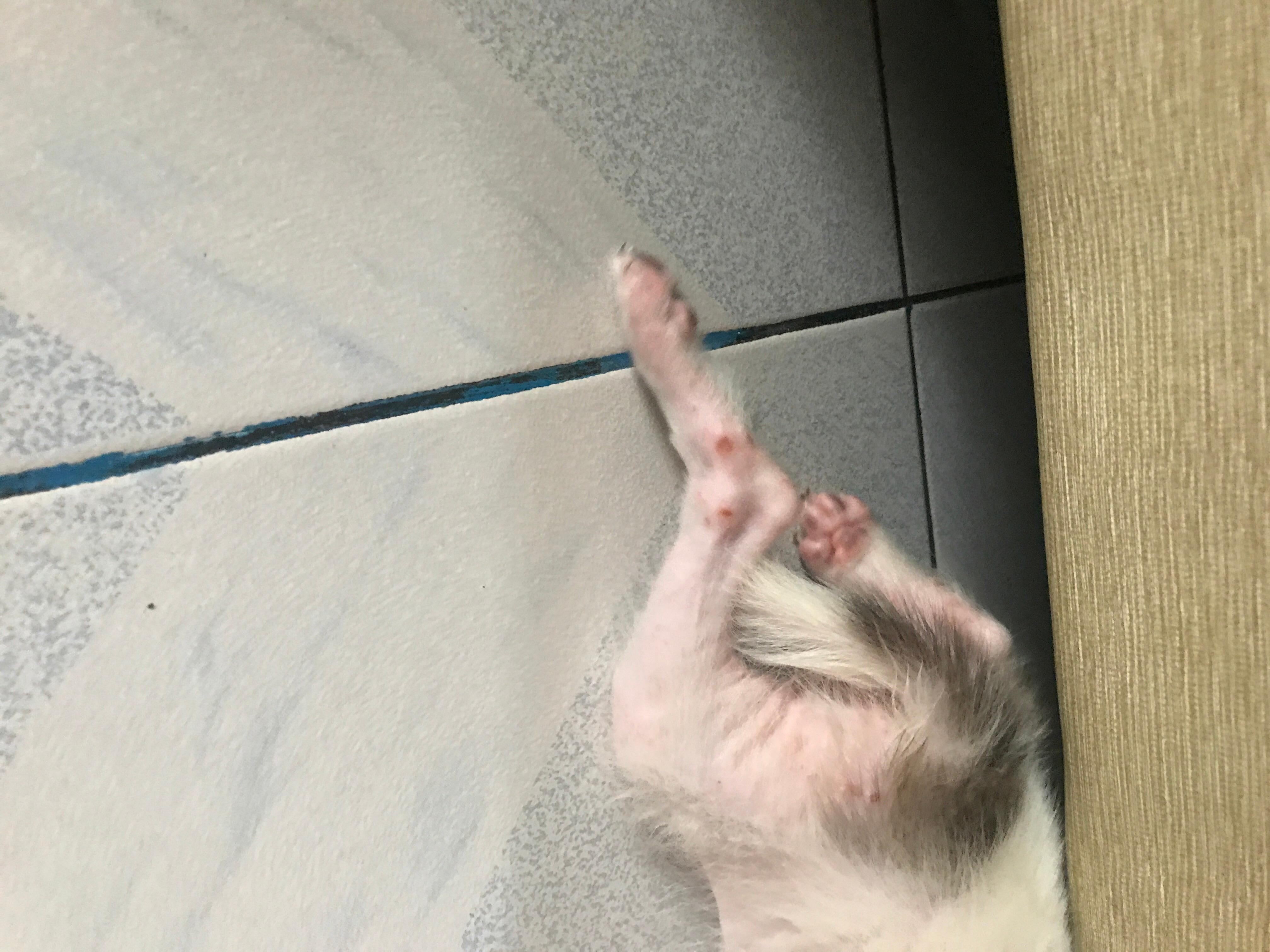 Question details sensitive content