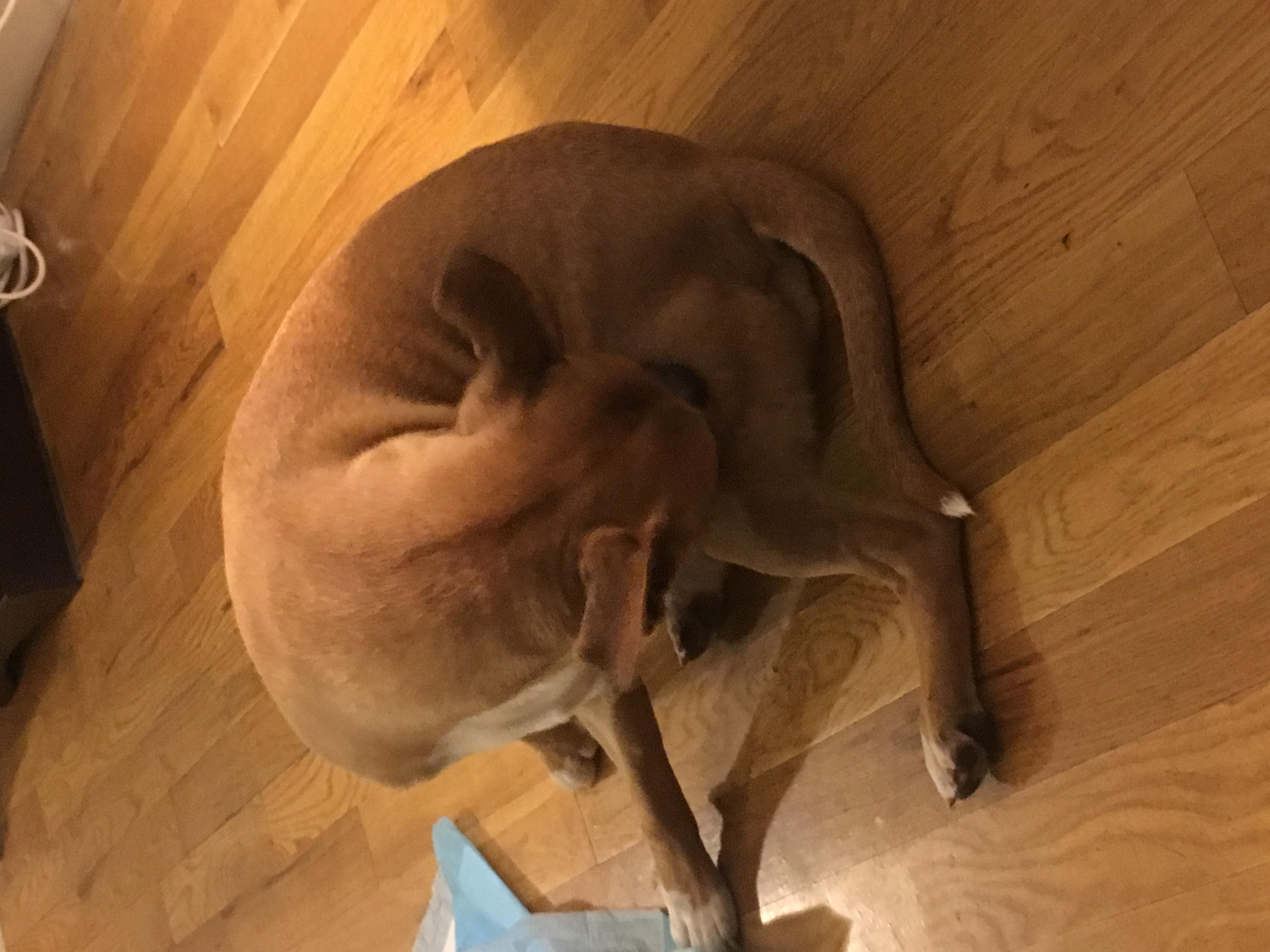 Question details sensitive content