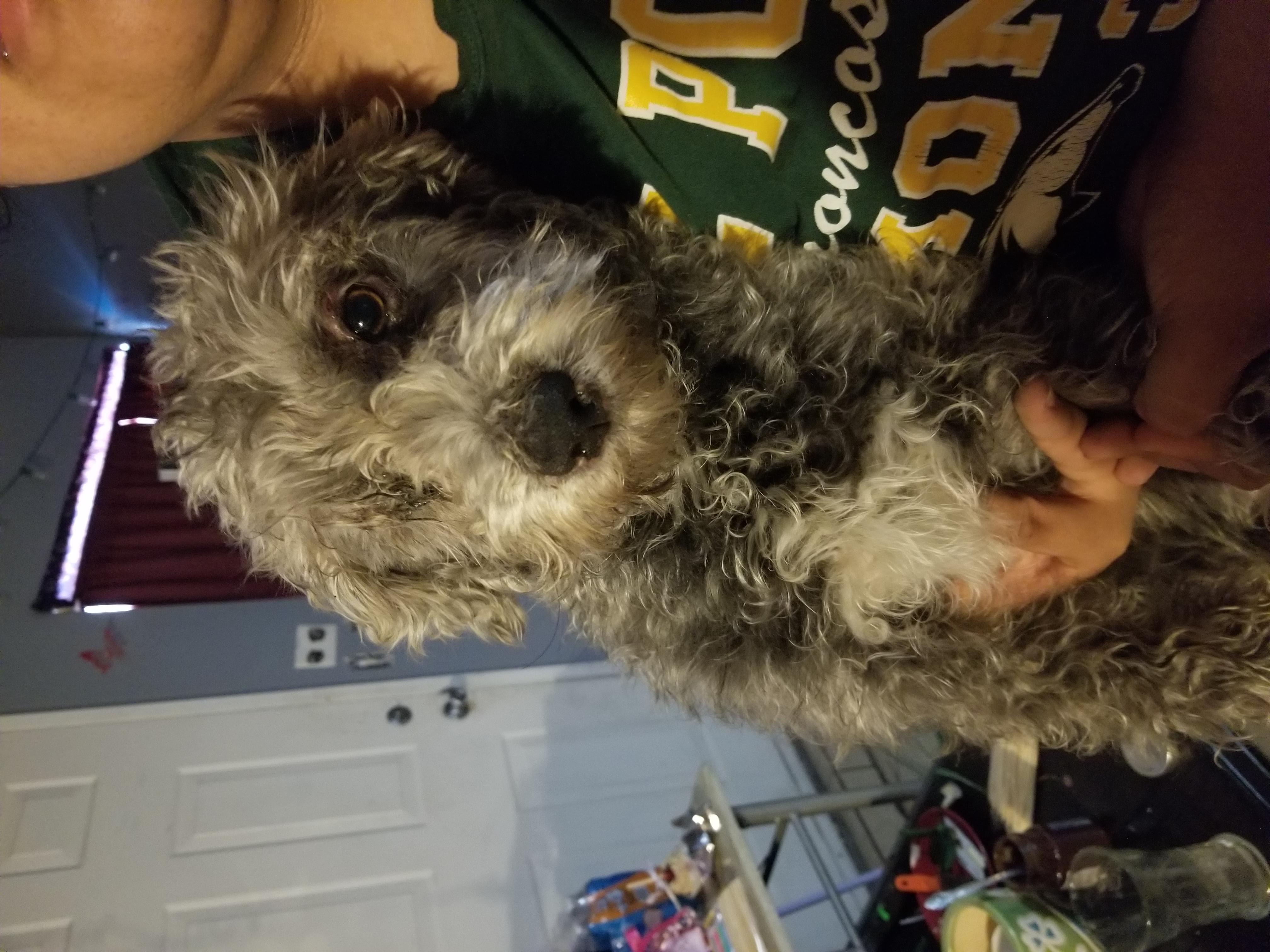 Question details sensitive content