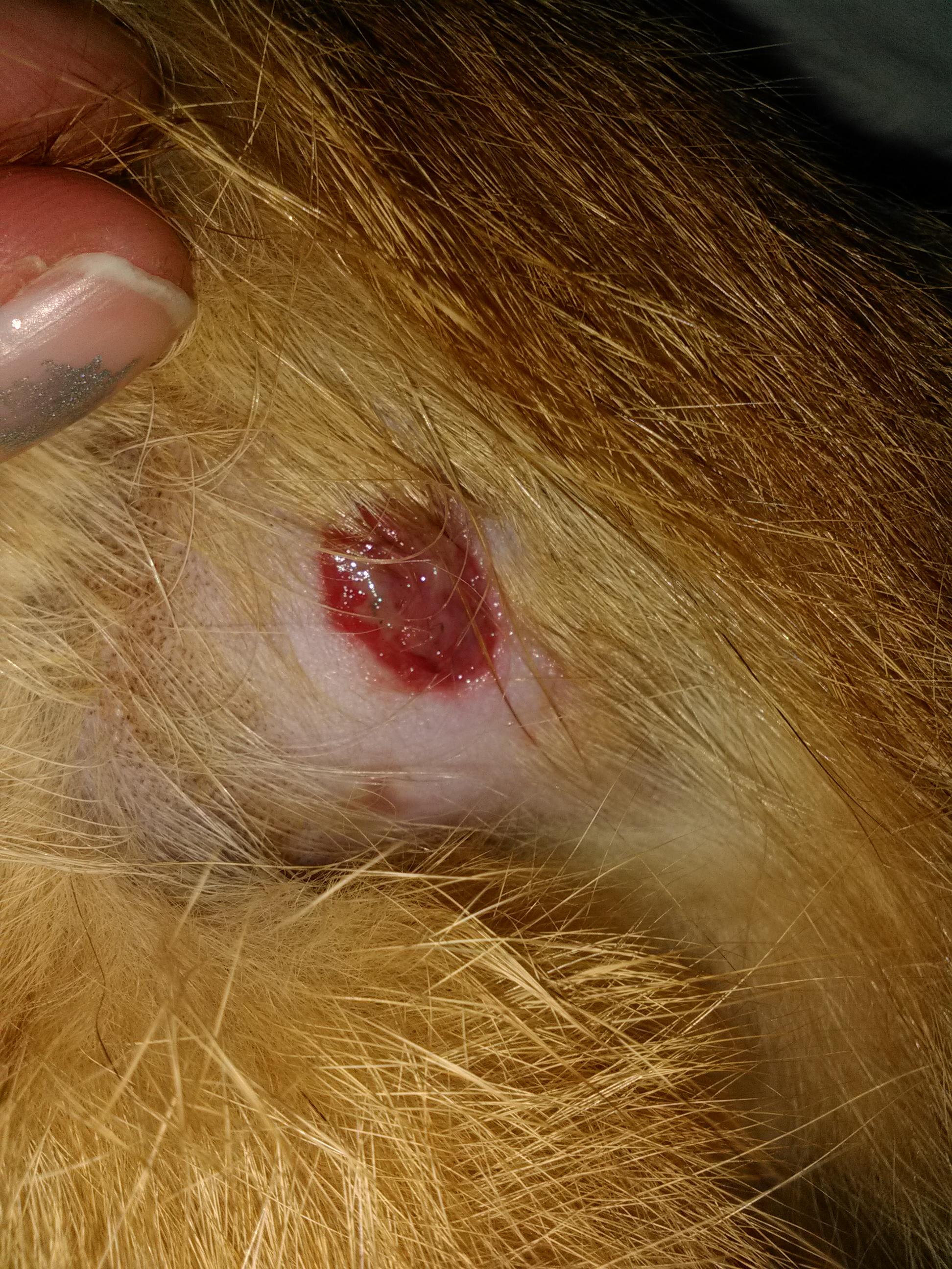 Question details sensitive content