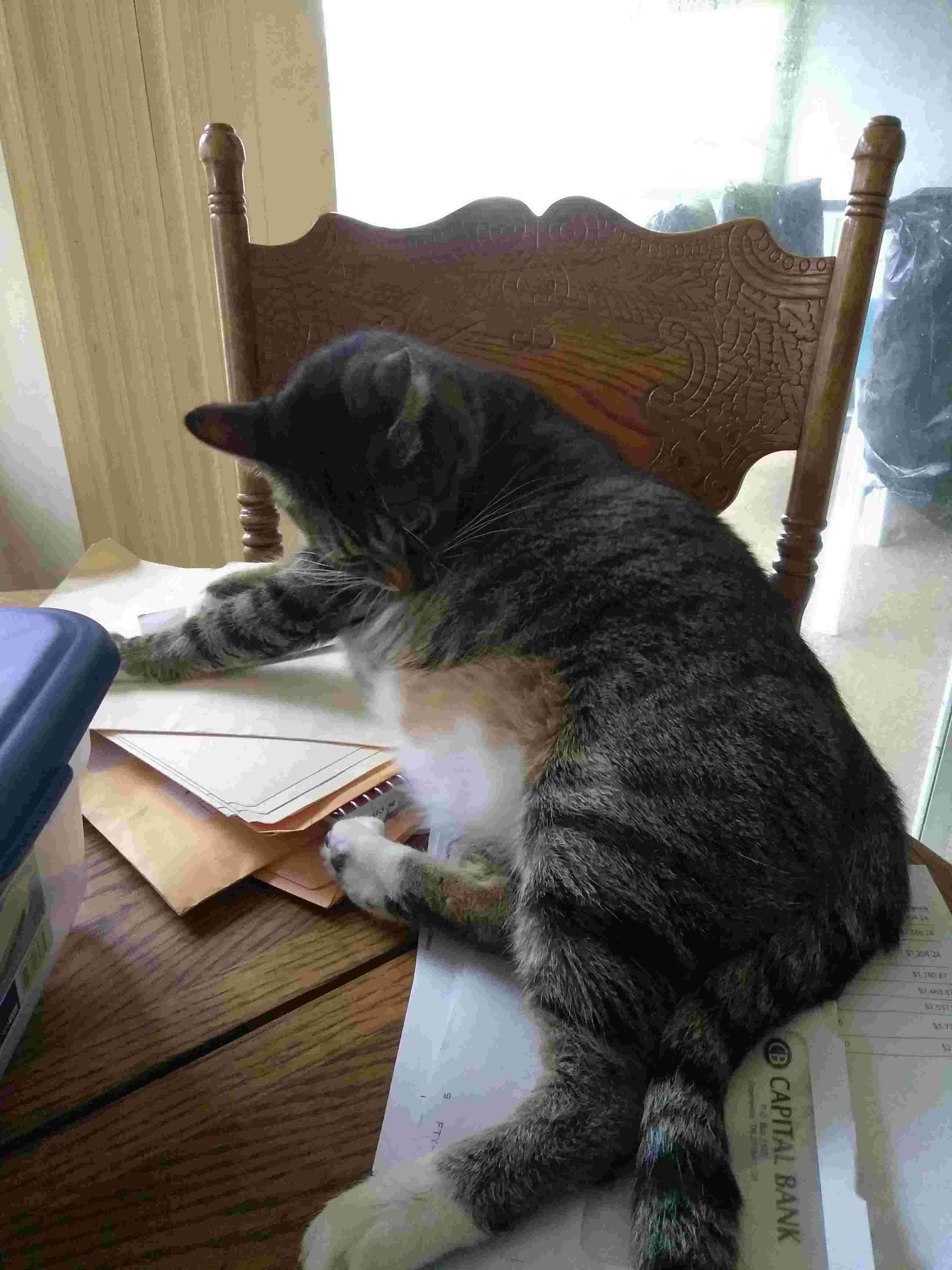 Question details sensitive content