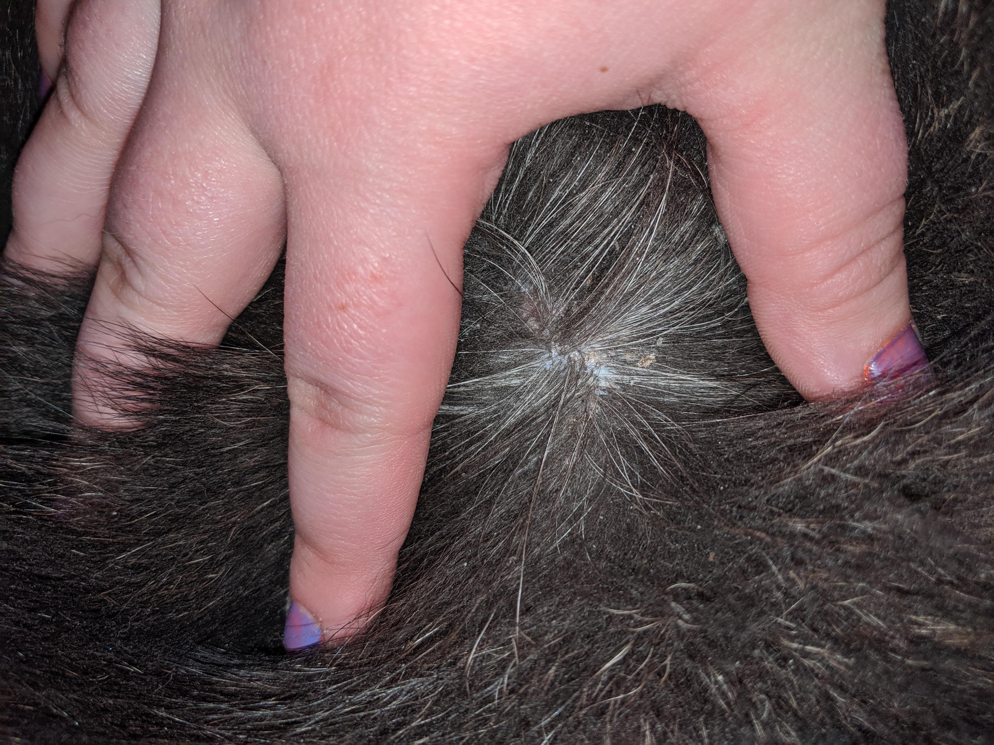 Question details sensitive content