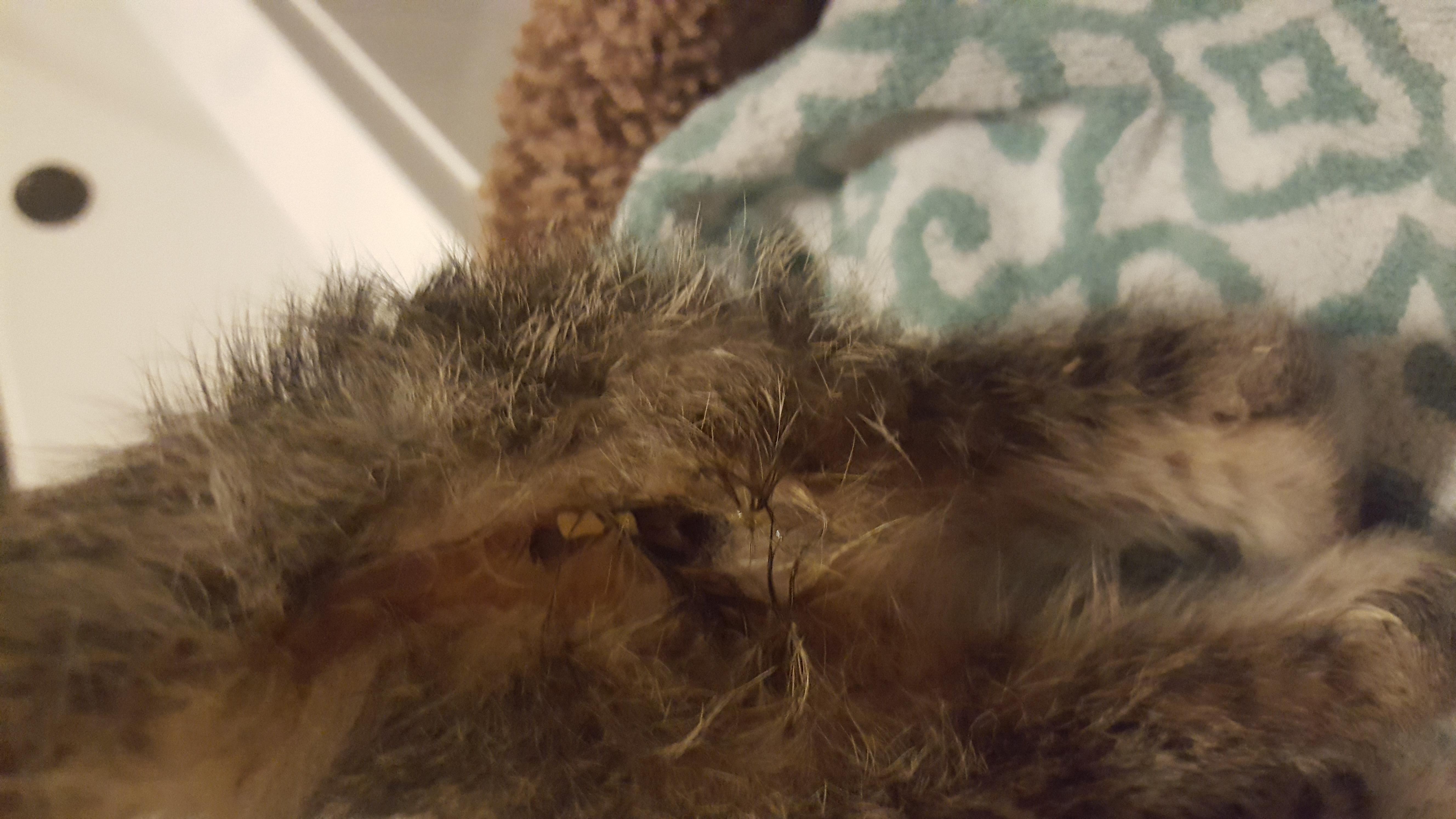 Question details sensitive content