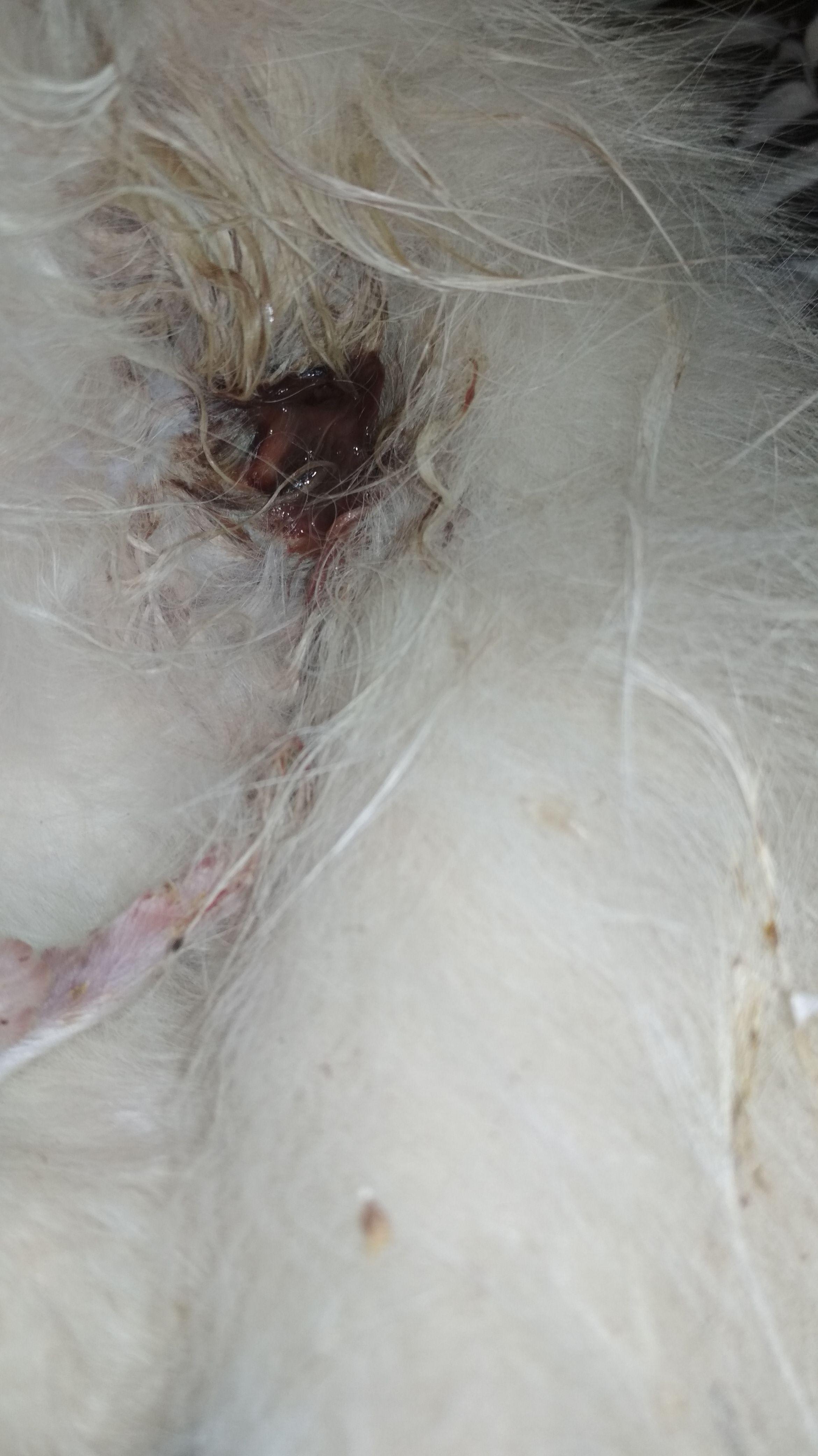 Question details sensitive content