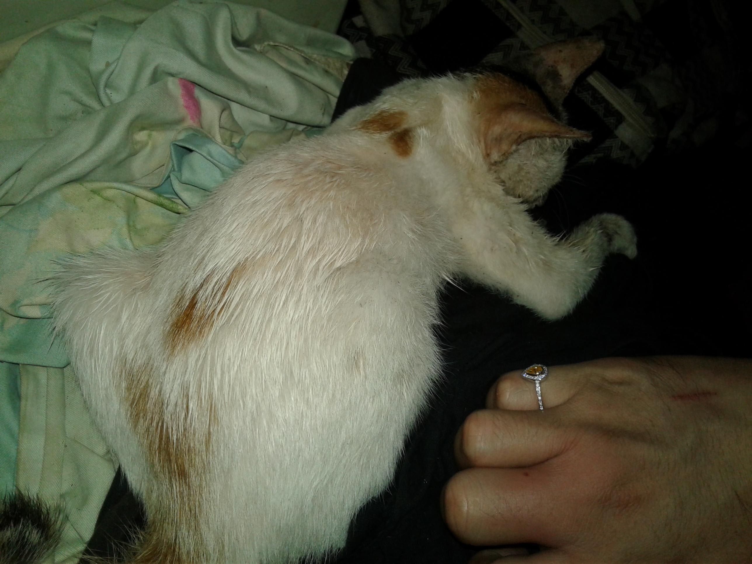 Question details sensitive content