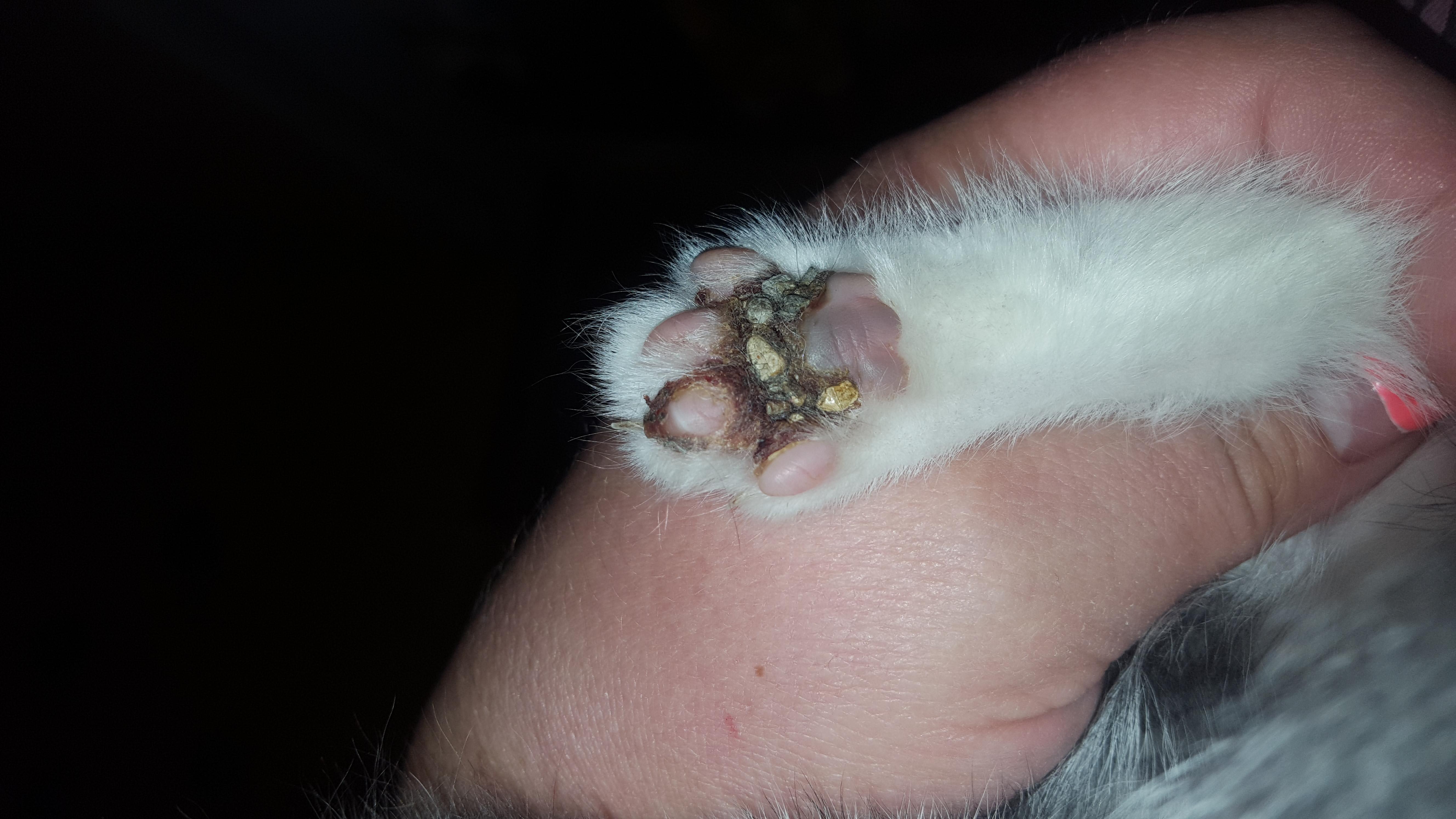 Question details sensitive content