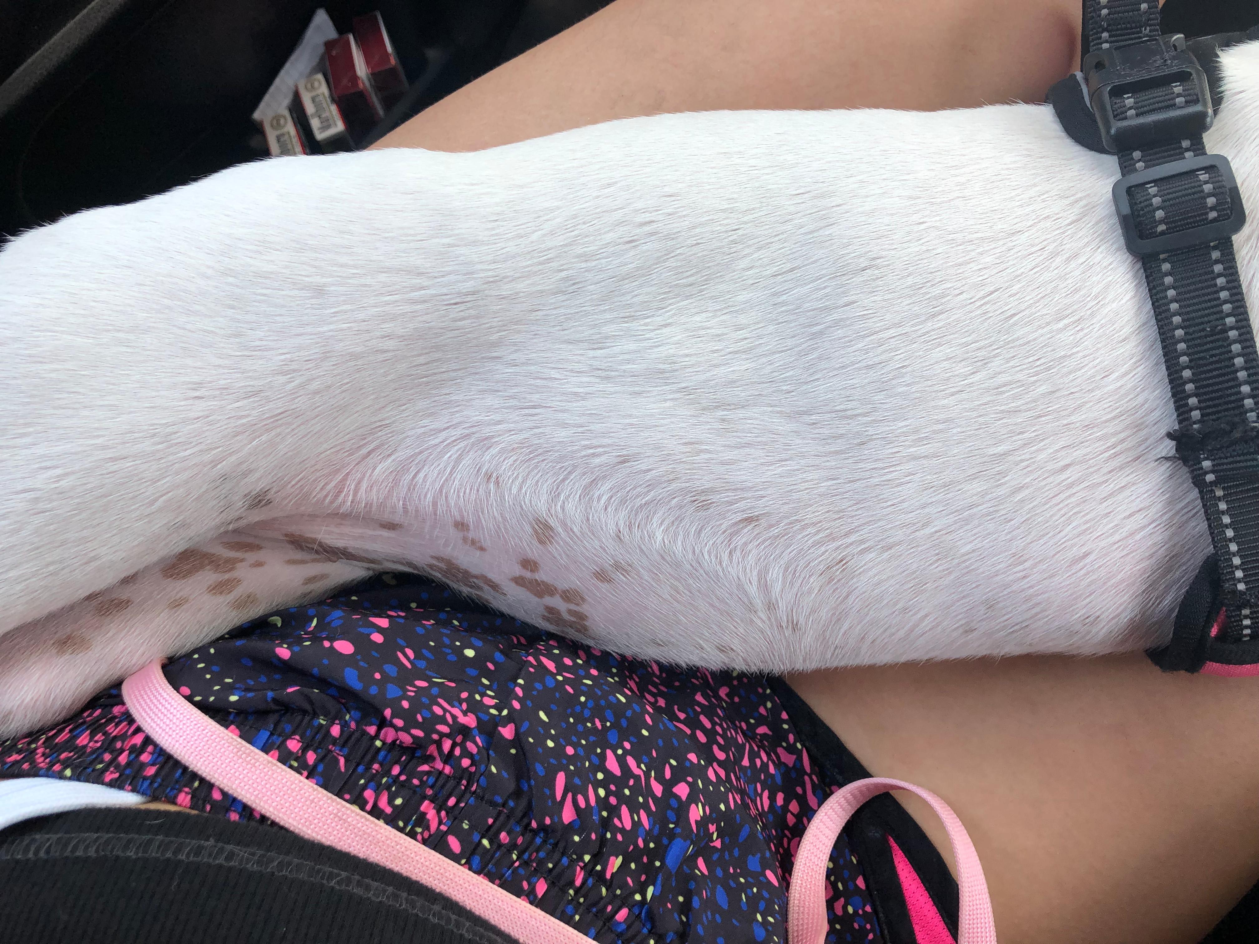 Question details sensitive content