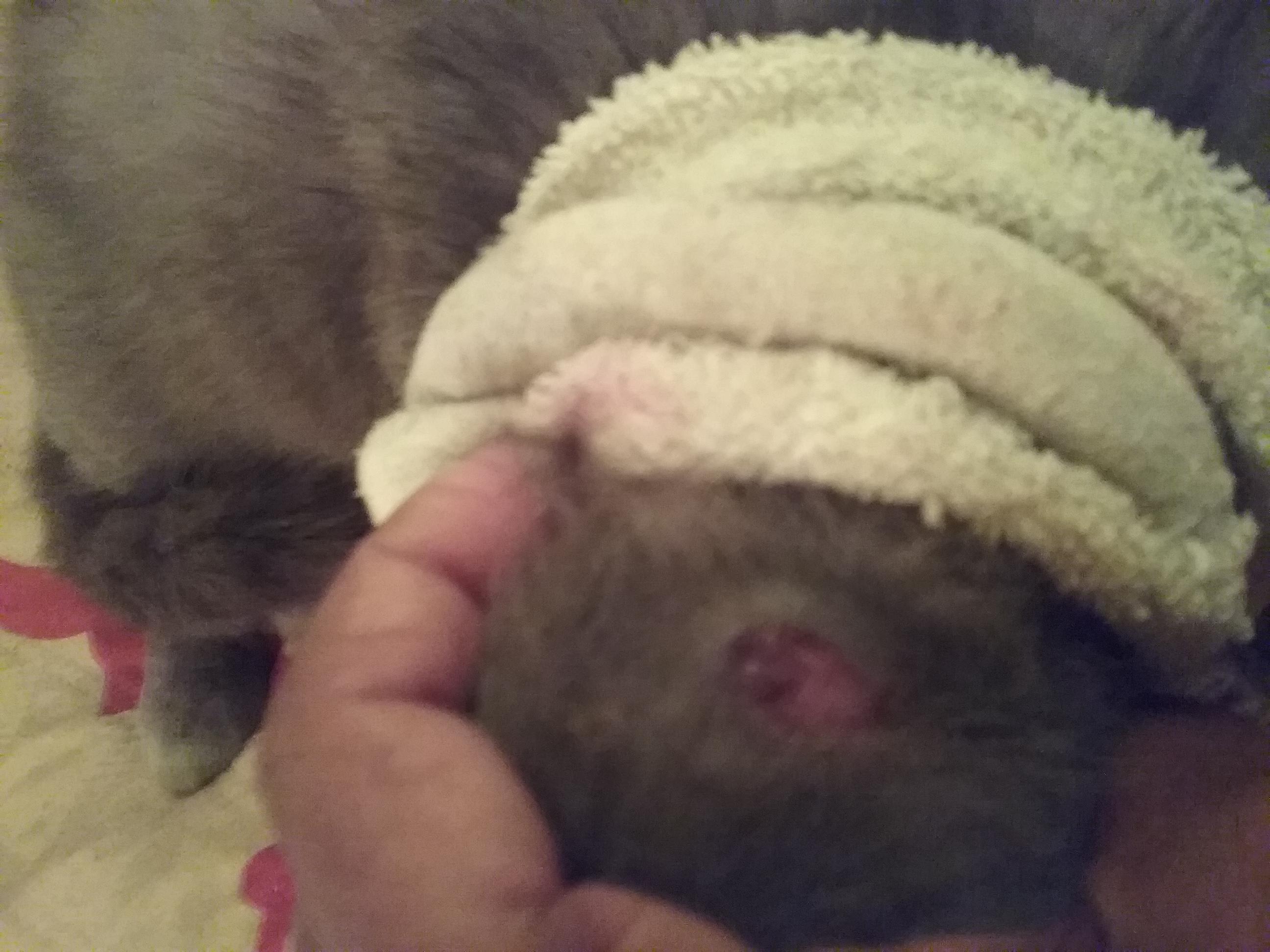 Question details sensitive content