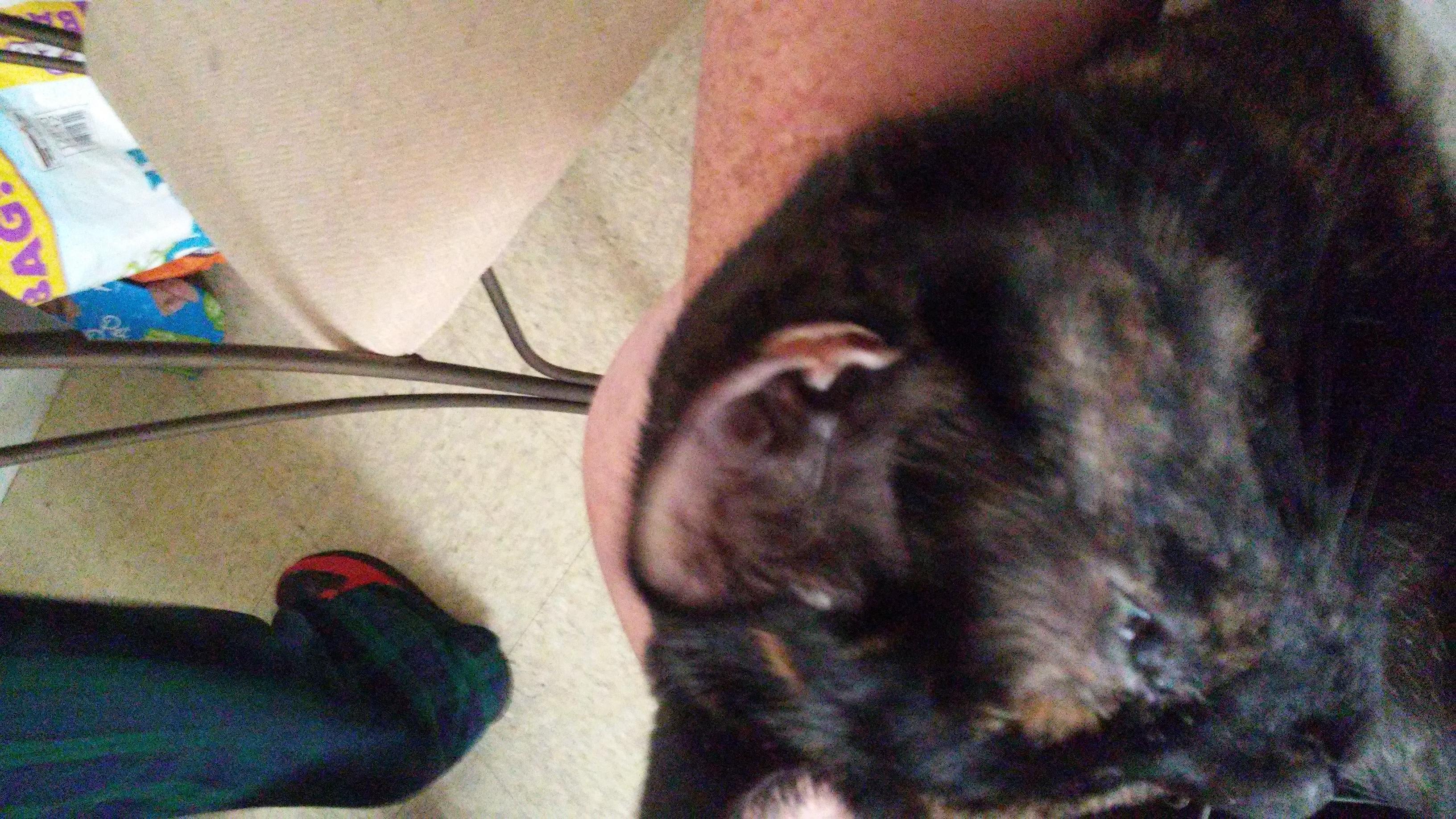 Question details sensitive content