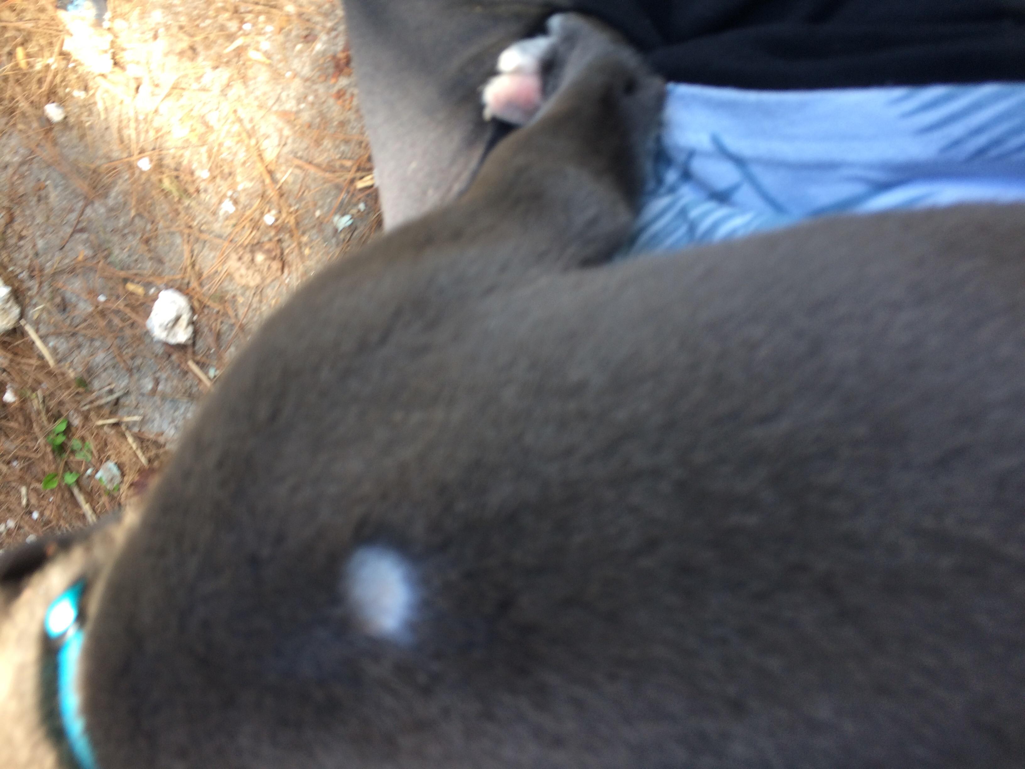 Question details sensitive content